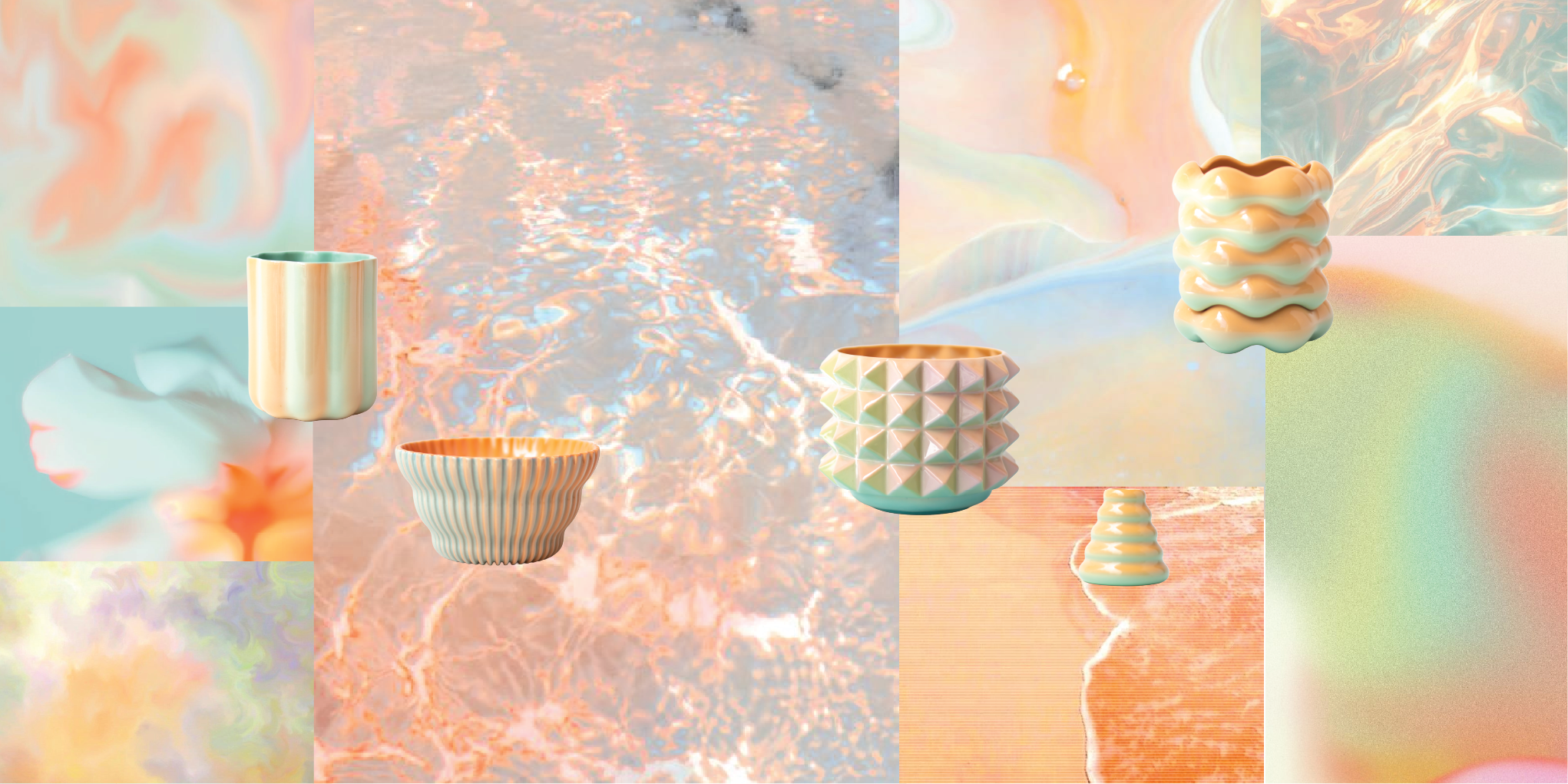 Sea Shell