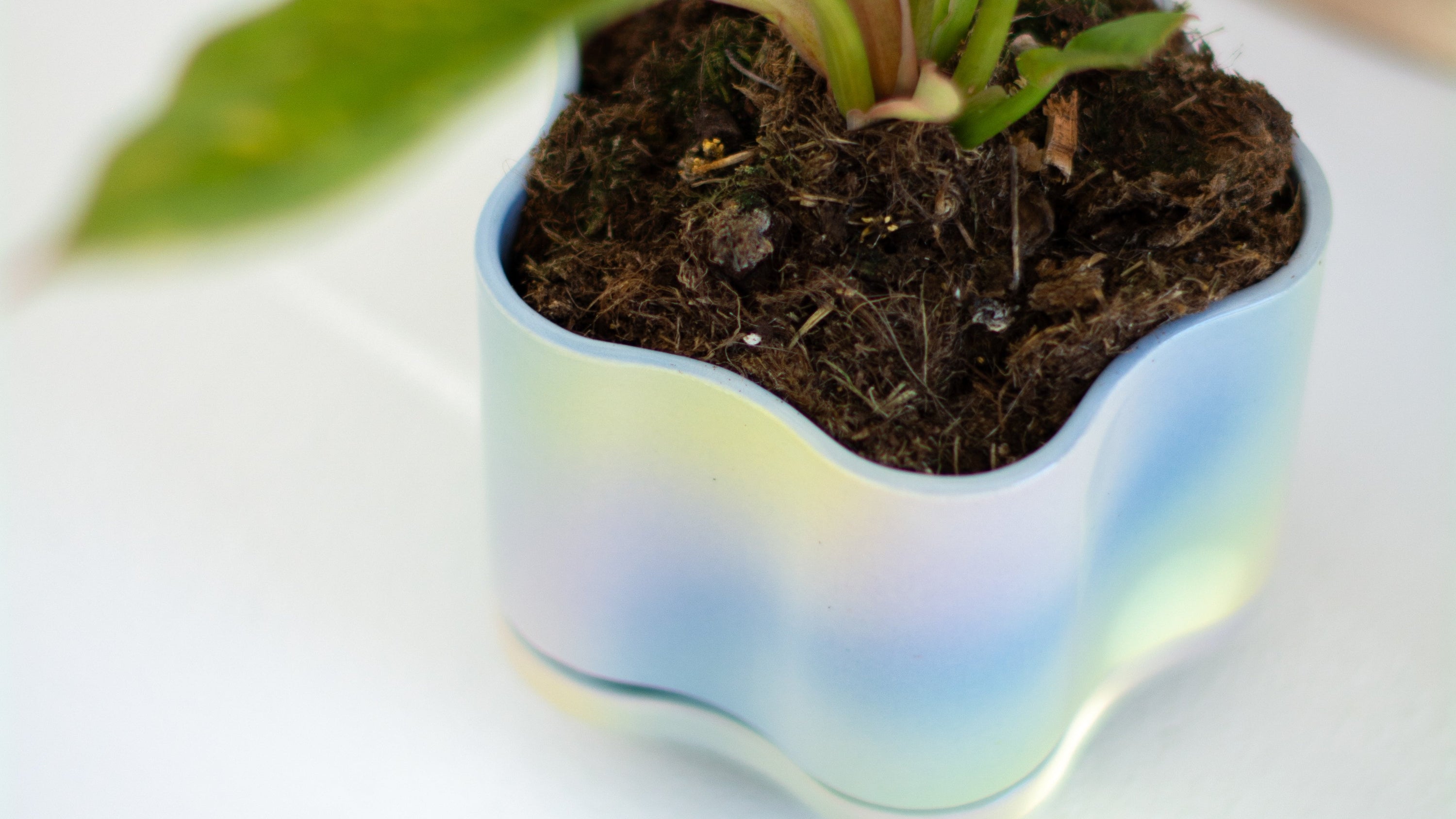 Udder Planters
