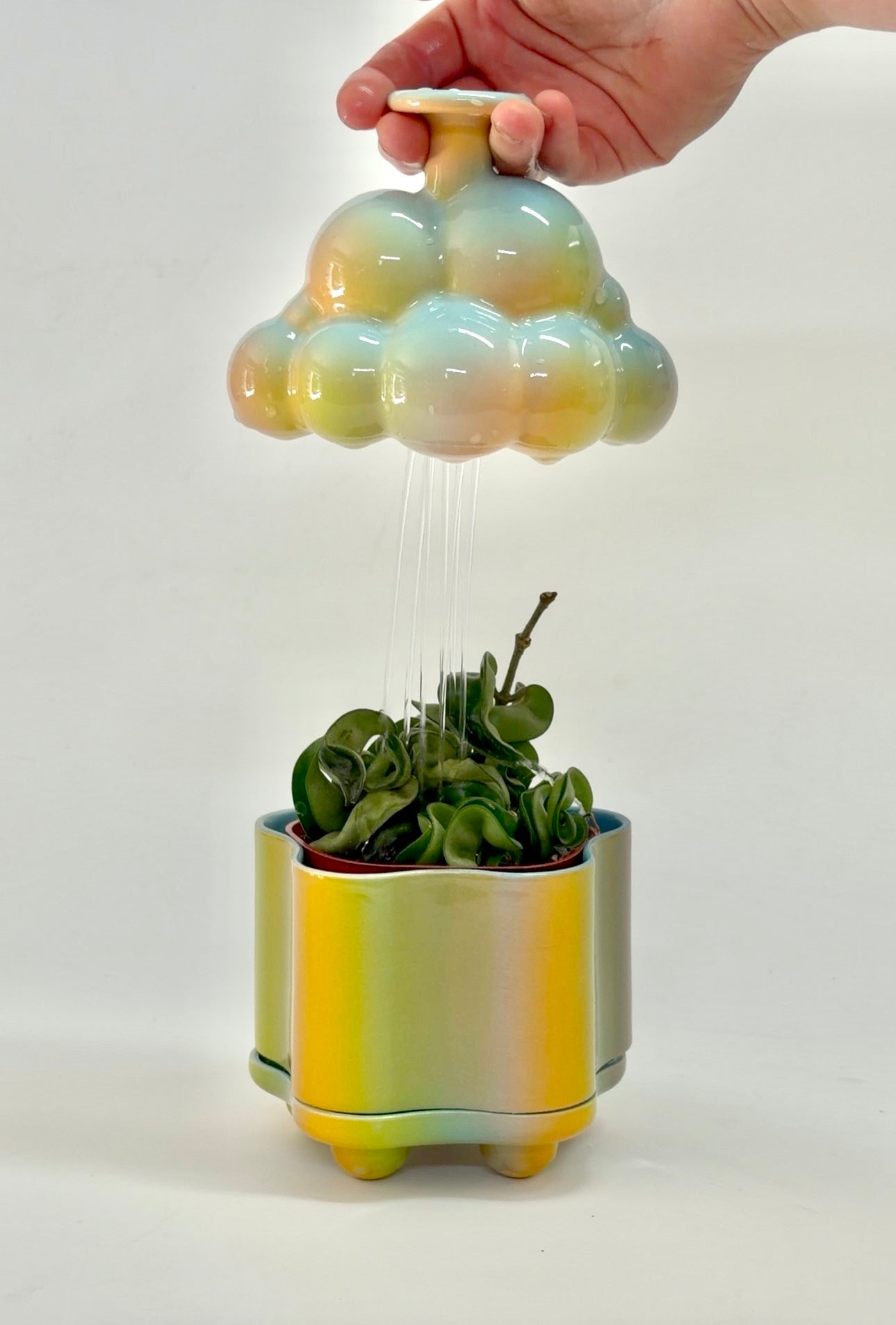 Rain Cloud Watering Bells