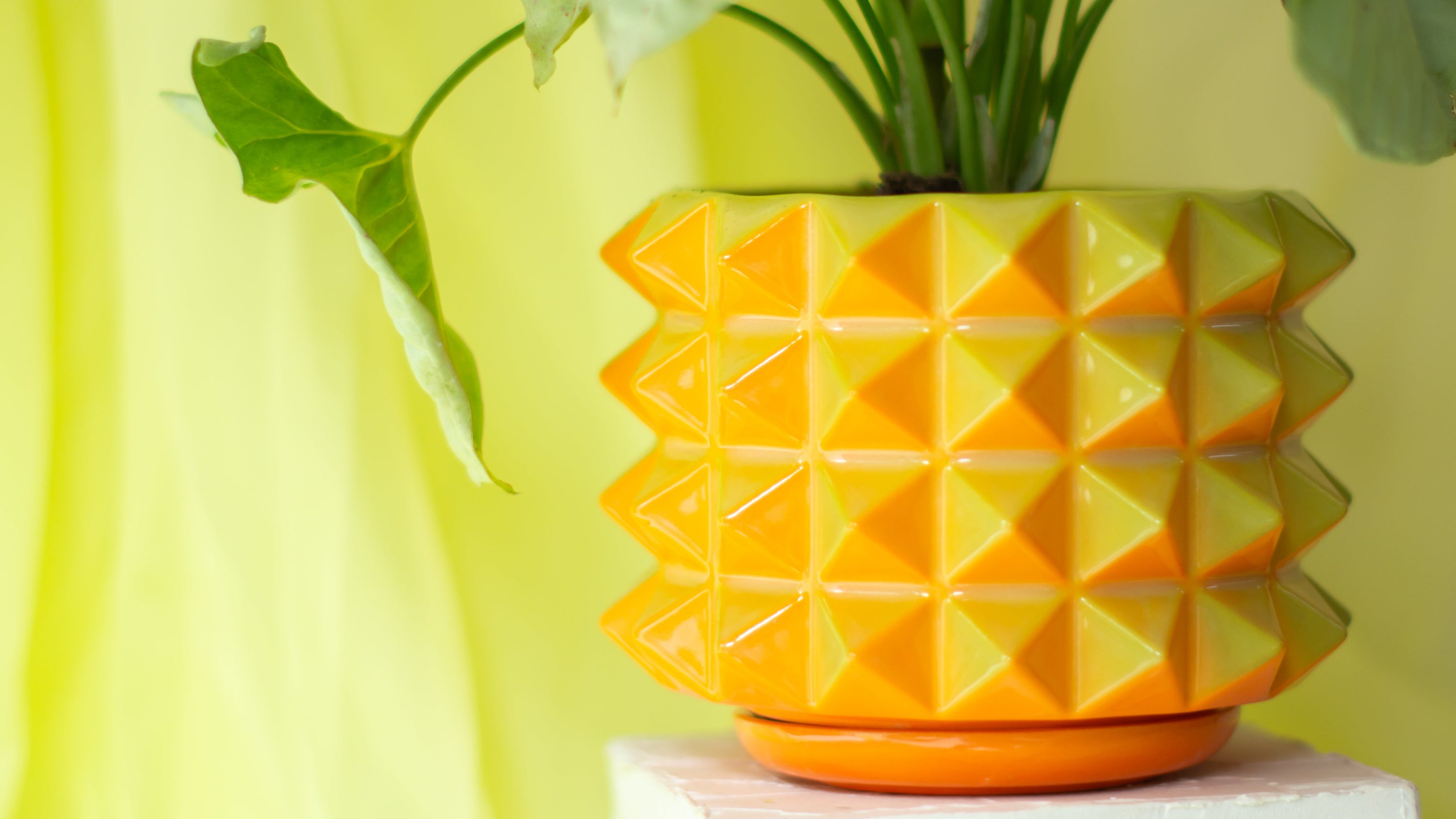Prism Planters