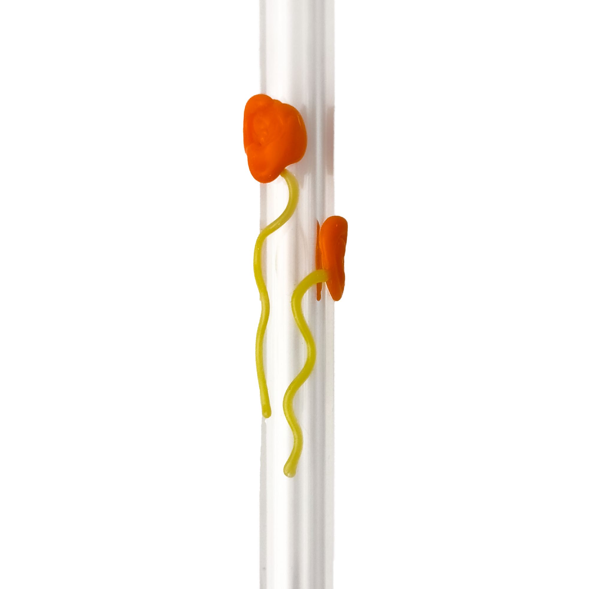 Glass Straw - Poppies