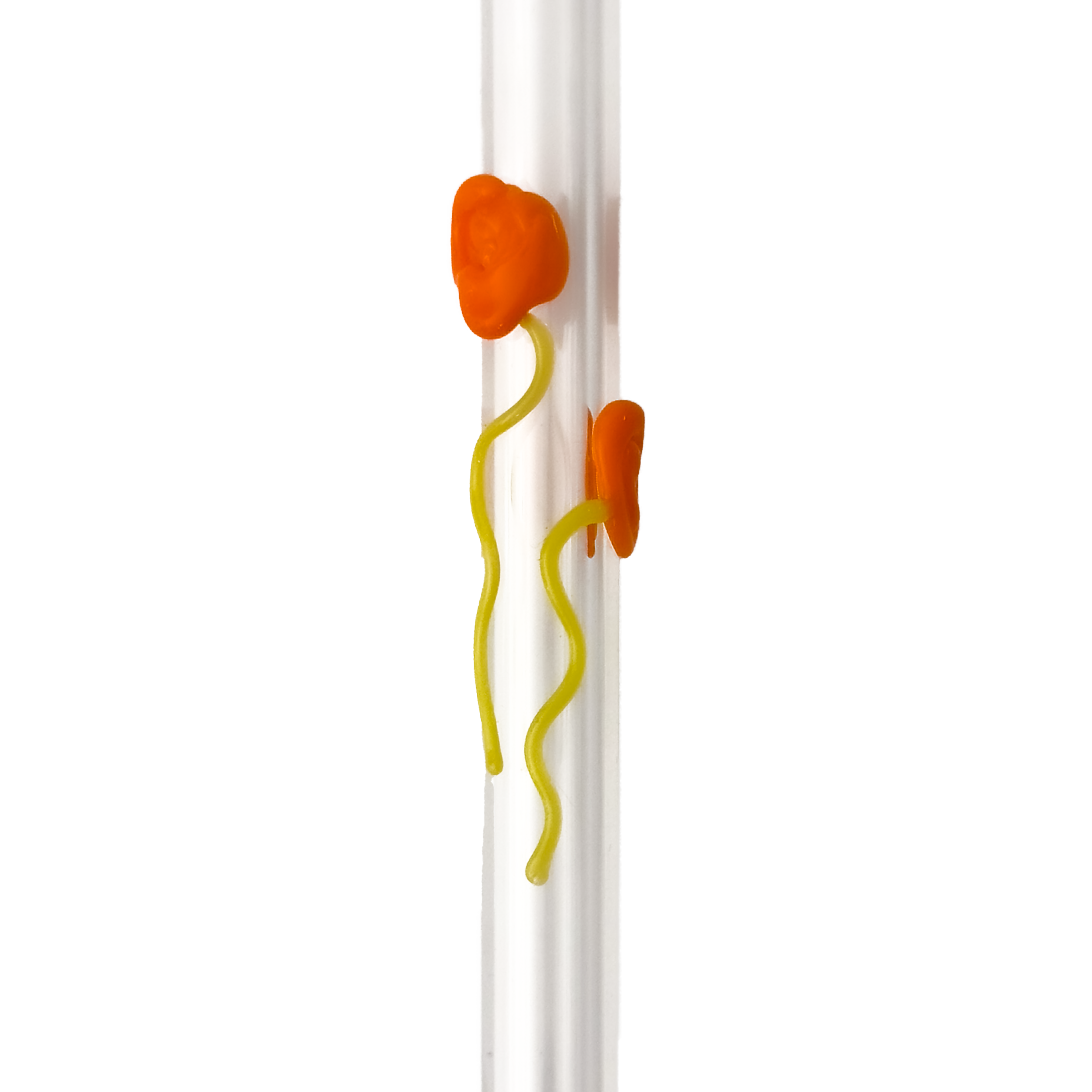 Glass Straw - Poppies