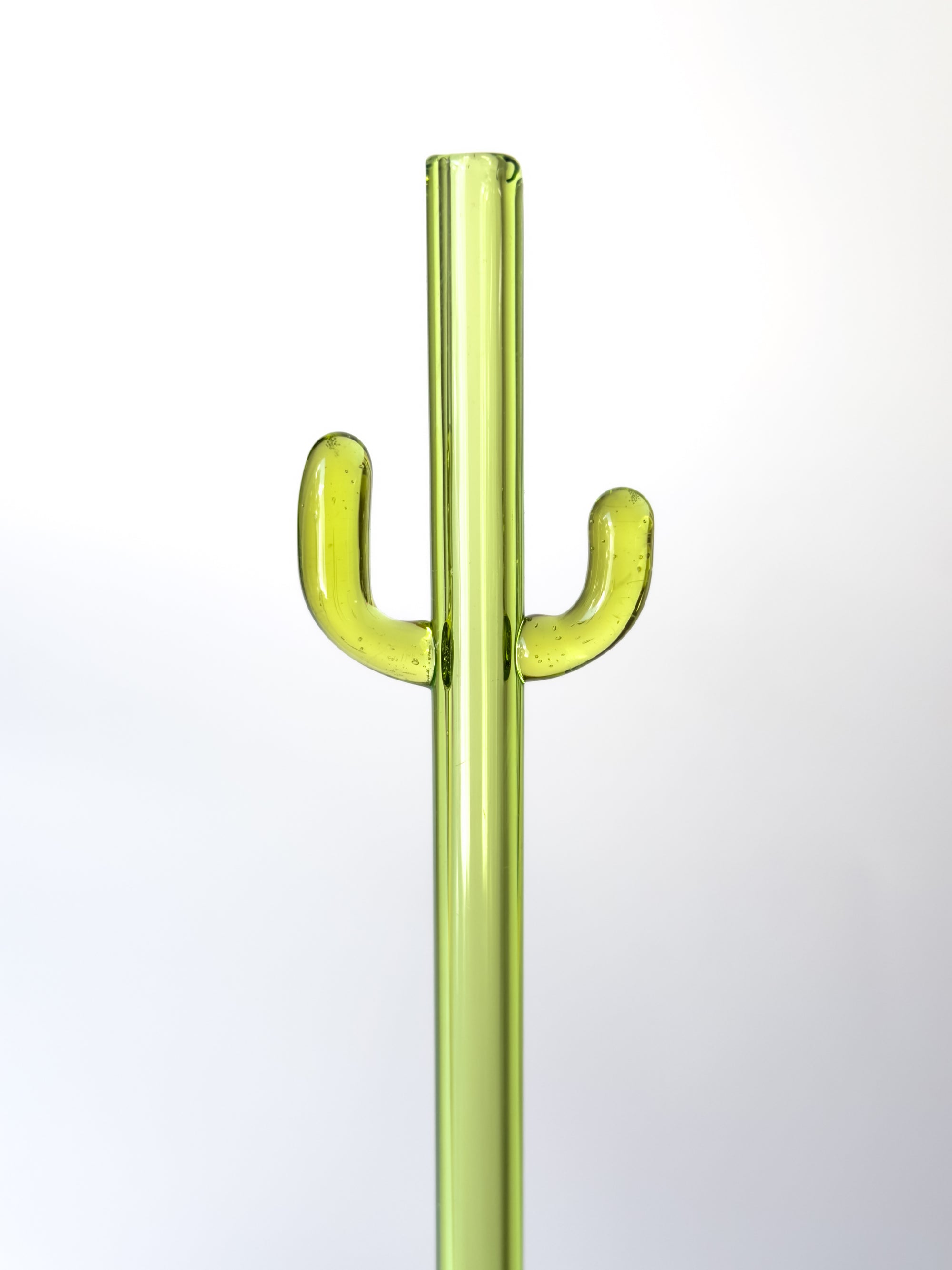 Glass Straw - Cactus