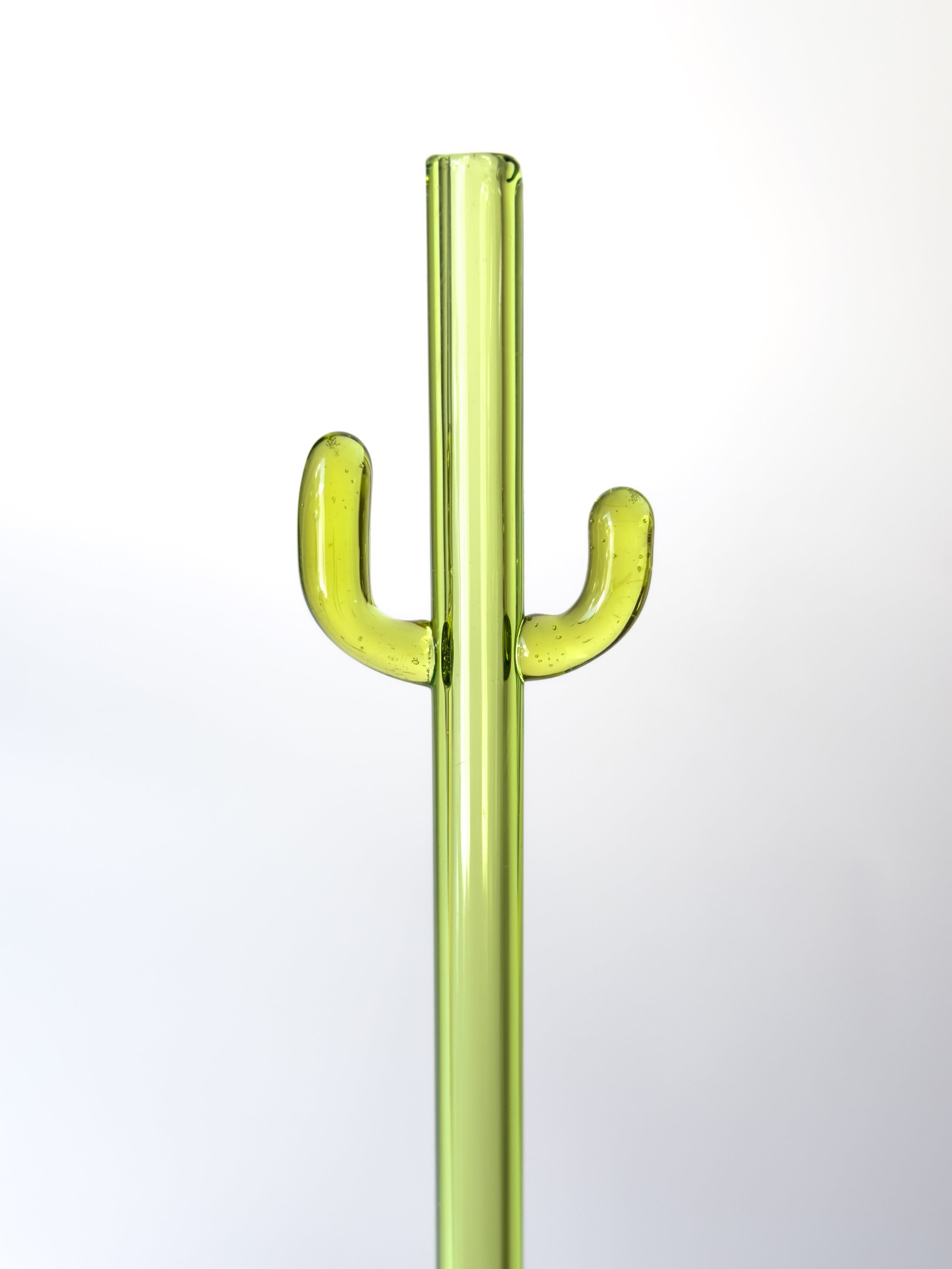 Glass Straw - Cactus