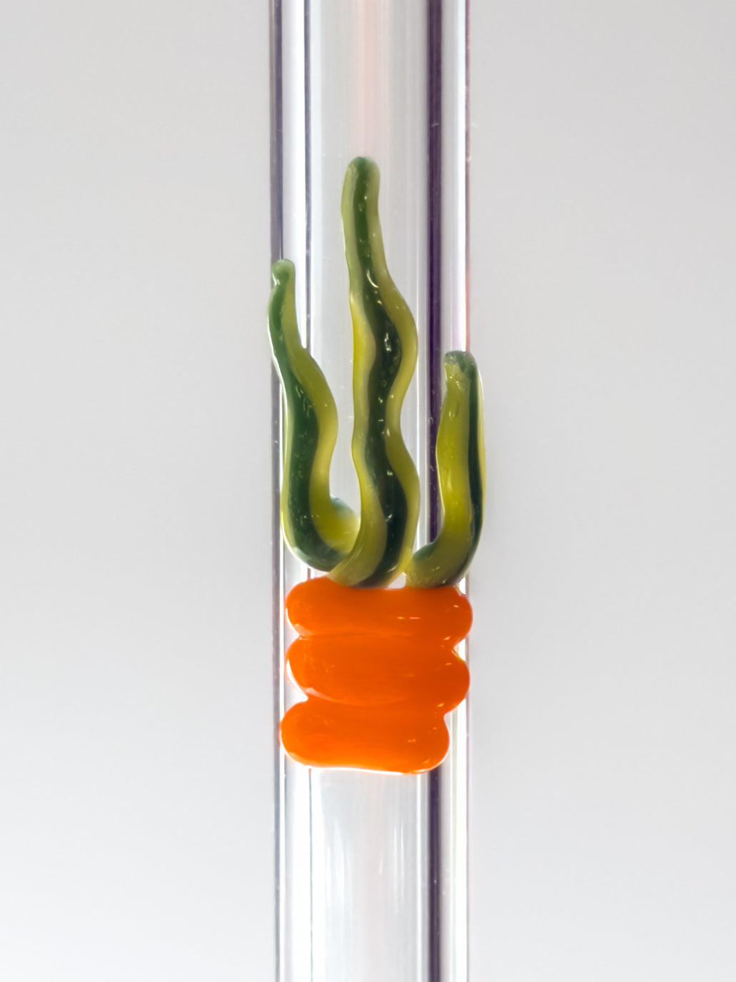 Glass Straw - Snake Plant