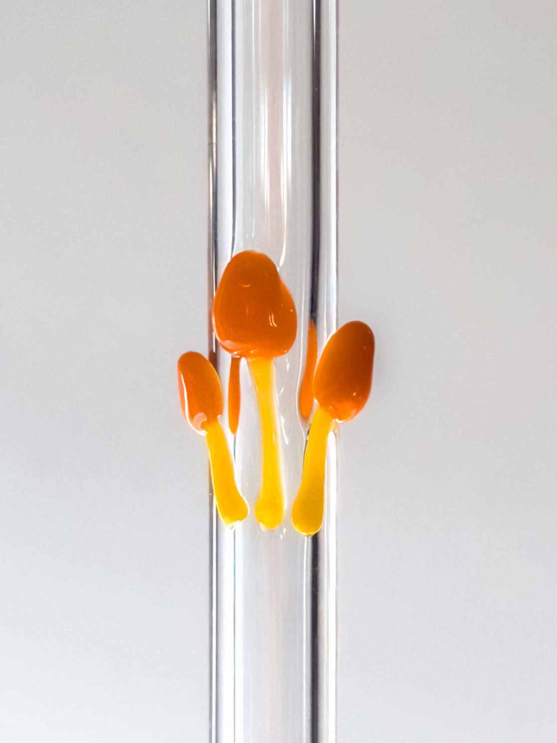 Glass Straw - Mushrooms