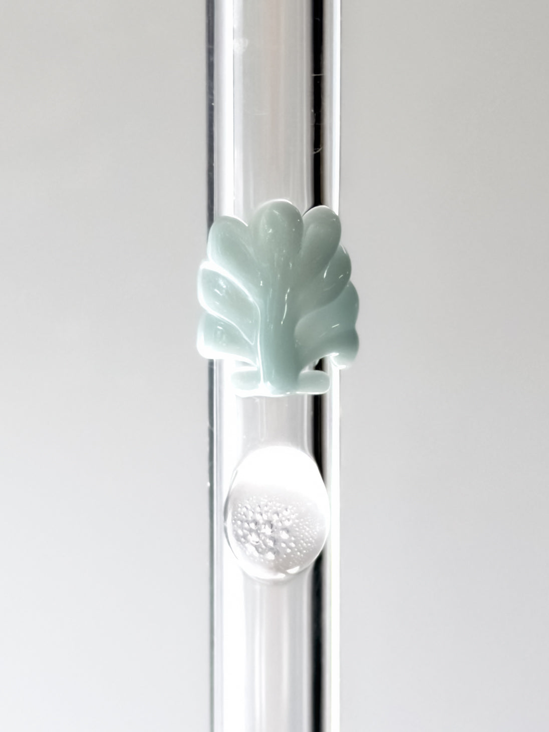 Glass Straw - Shell – Modern Science Project