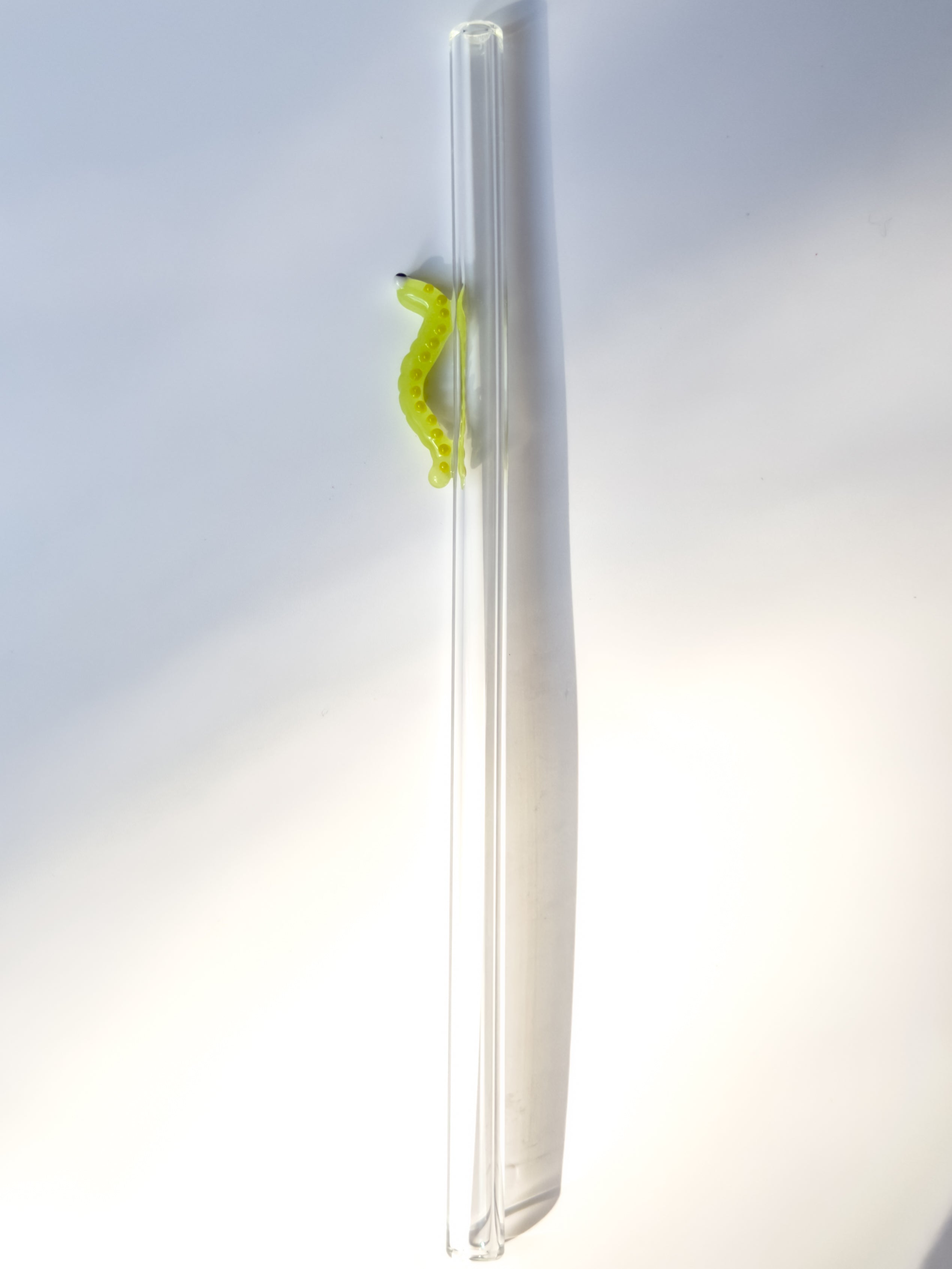 Glass Straw - Caterpillar