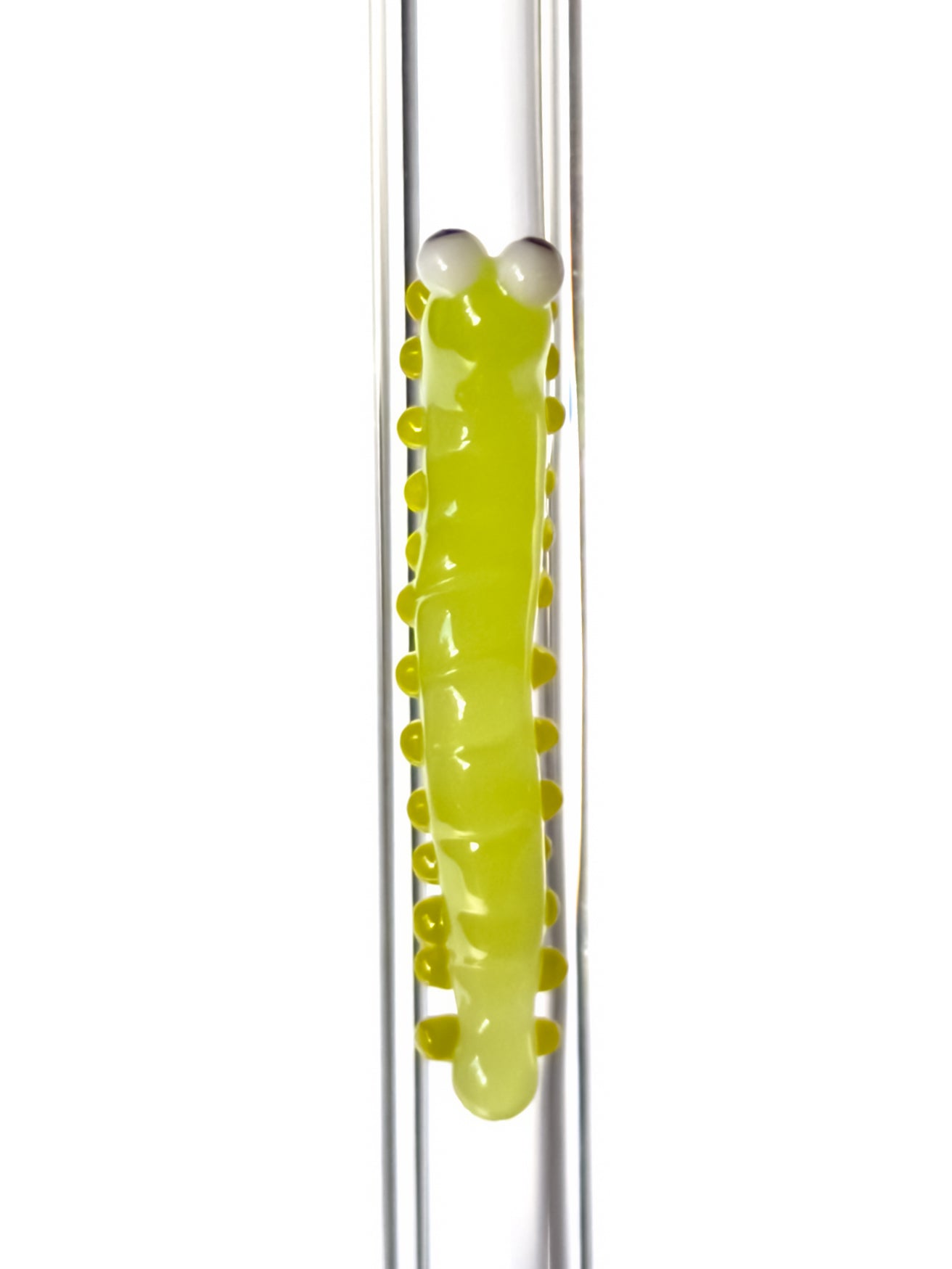 Glass Straw - Caterpillar