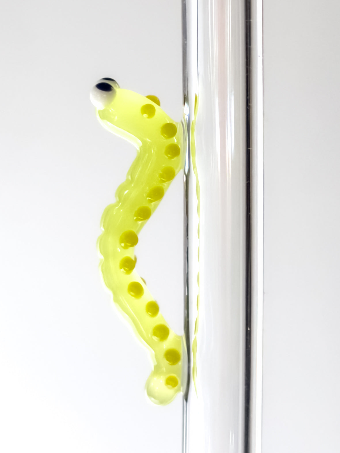 Glass Straw - Caterpillar
