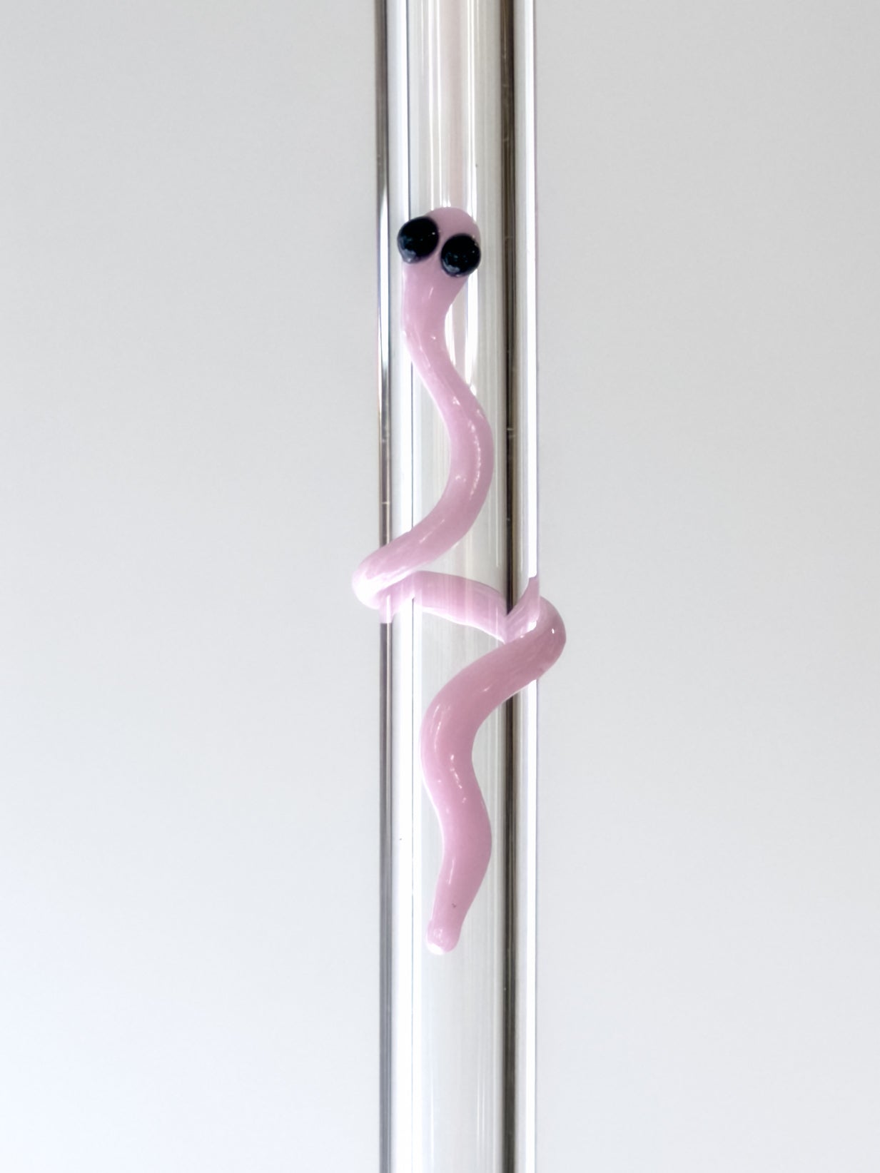Glass Straw - Worm