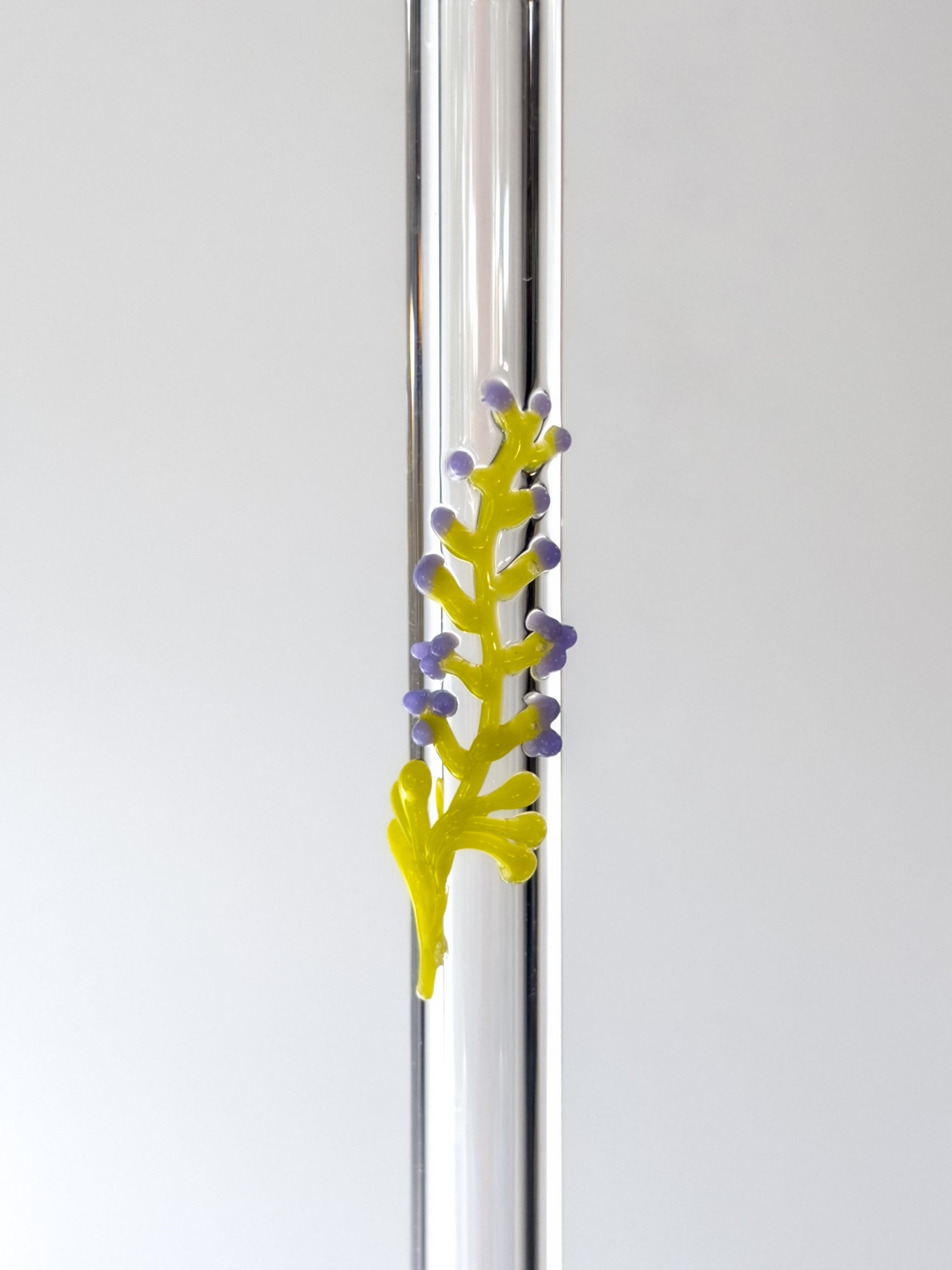 Glass Straw - Larkspur