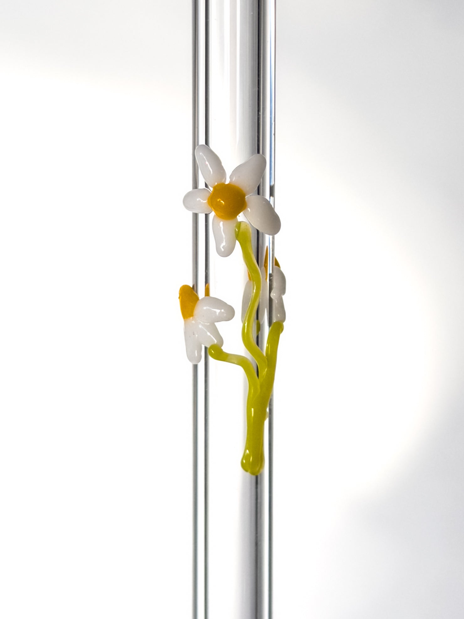 Glass Straws - Chamomile