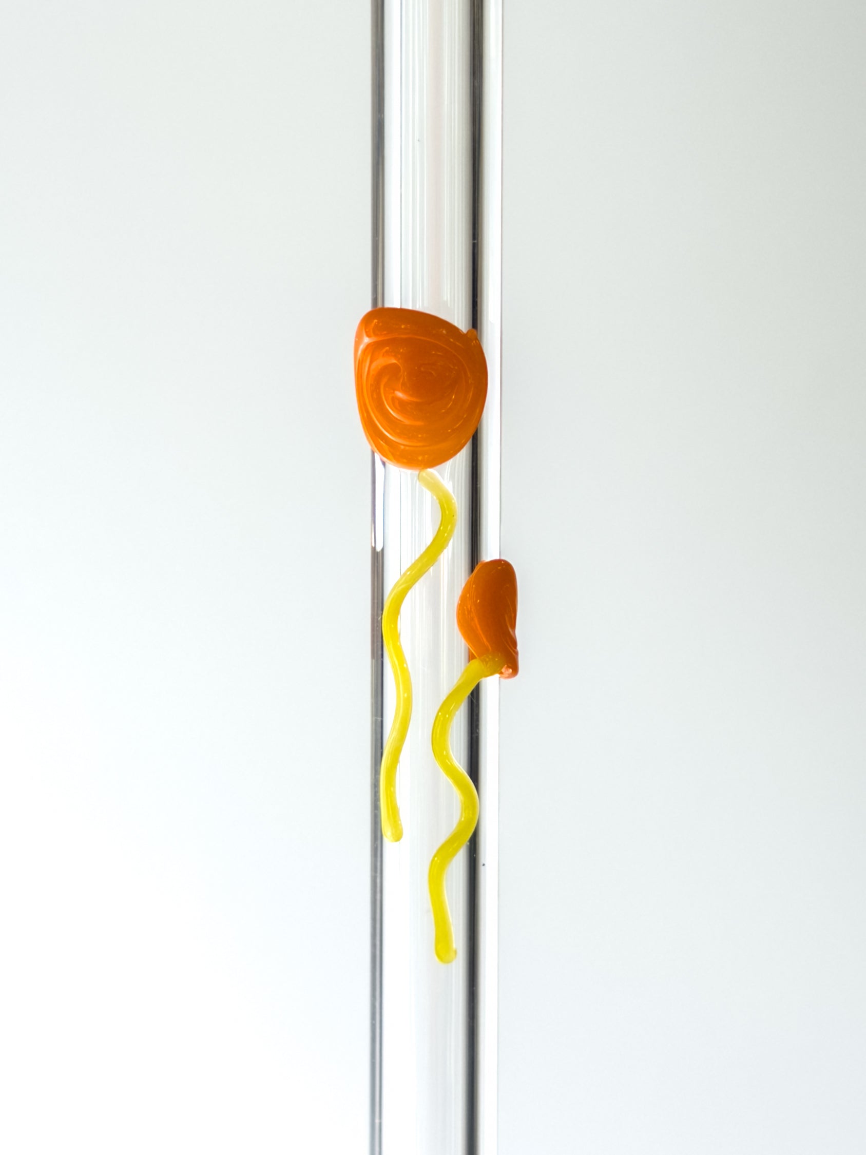 Glass Straw - Poppies