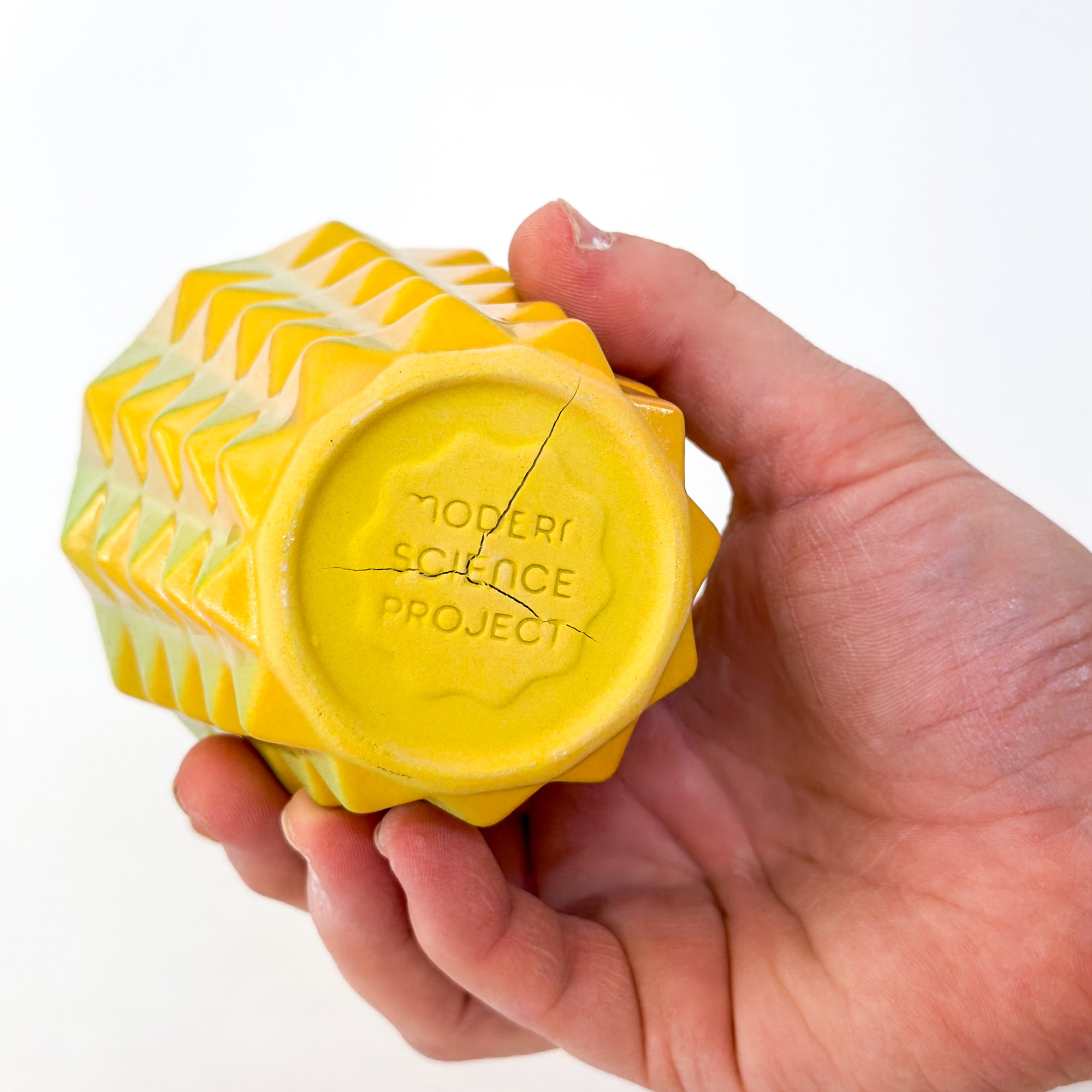 *SECOND* Prism Cup in Soft Rainbow