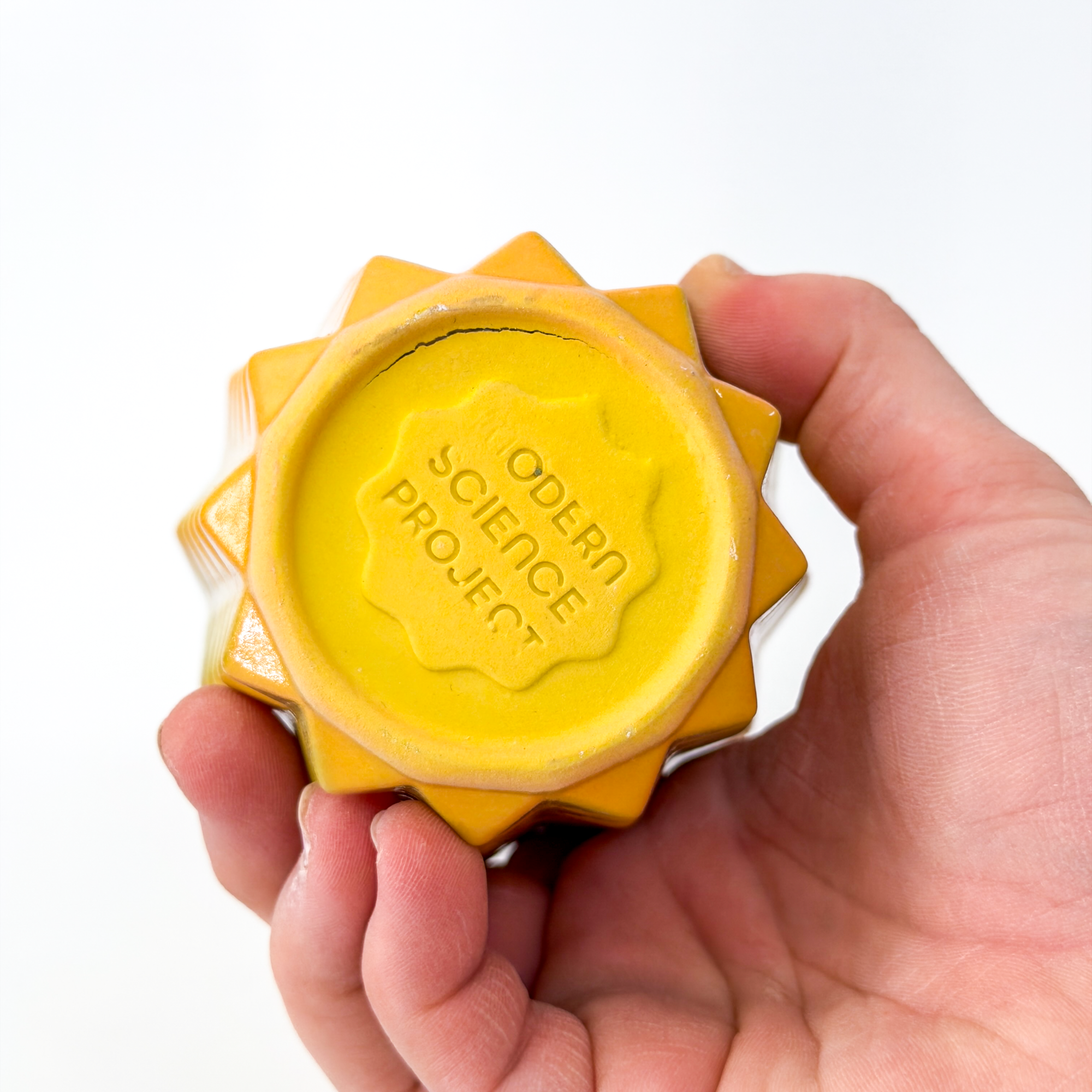 *SECOND* Prism Cup In Soft Rainbow