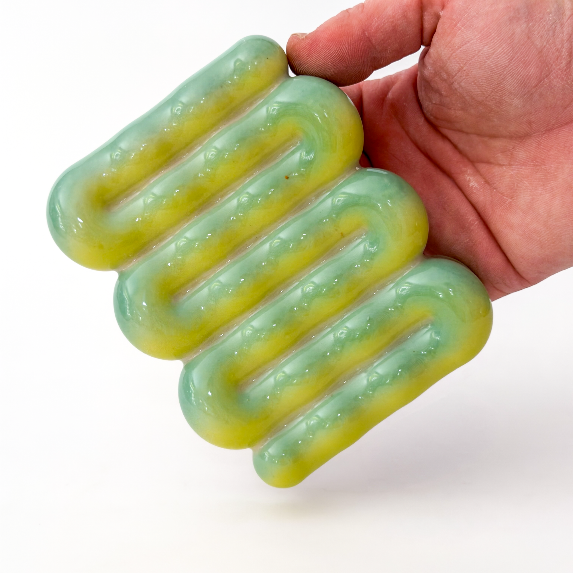 *SECOND* Soap Dish in Lizard