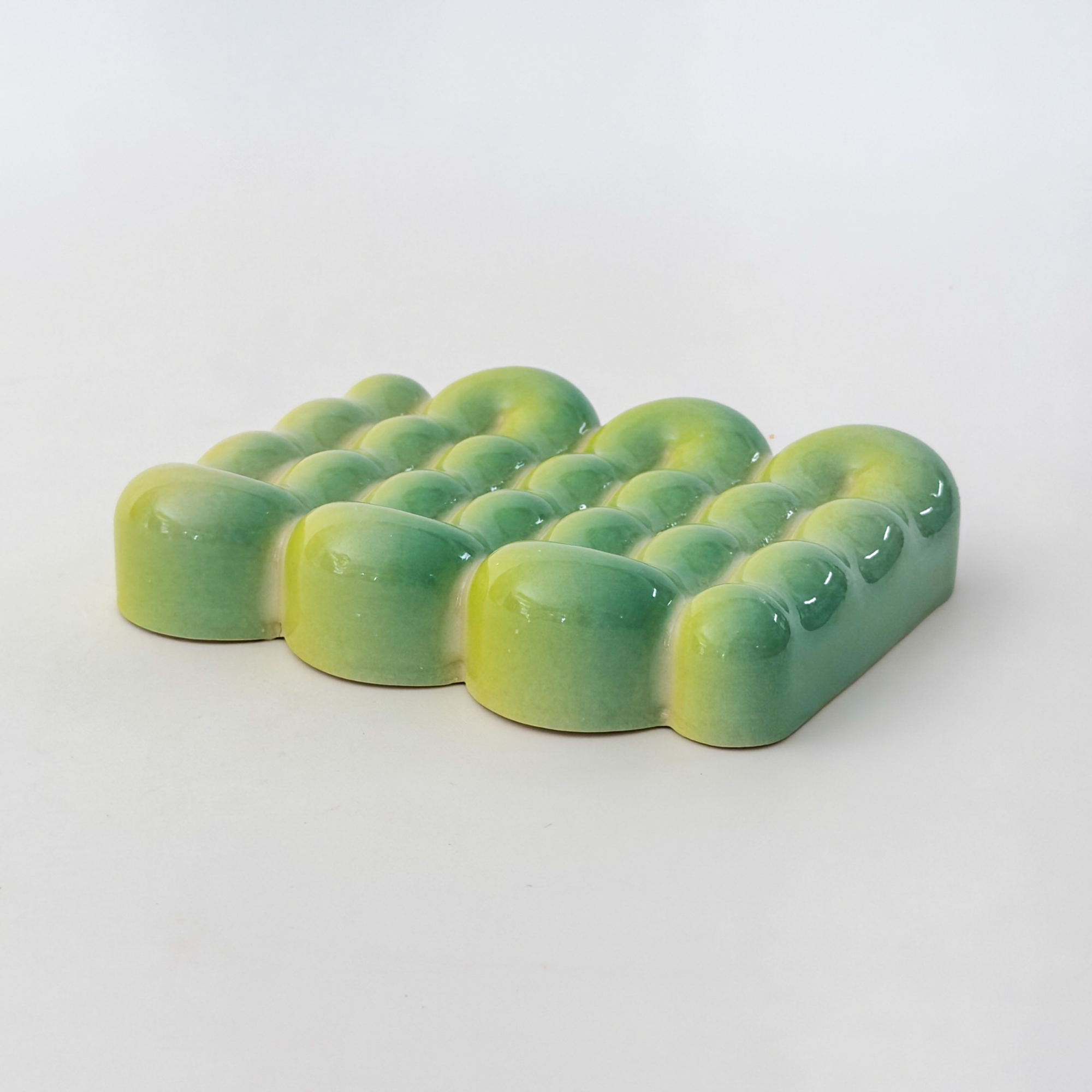 *SECOND* Soap Dish in Lizard