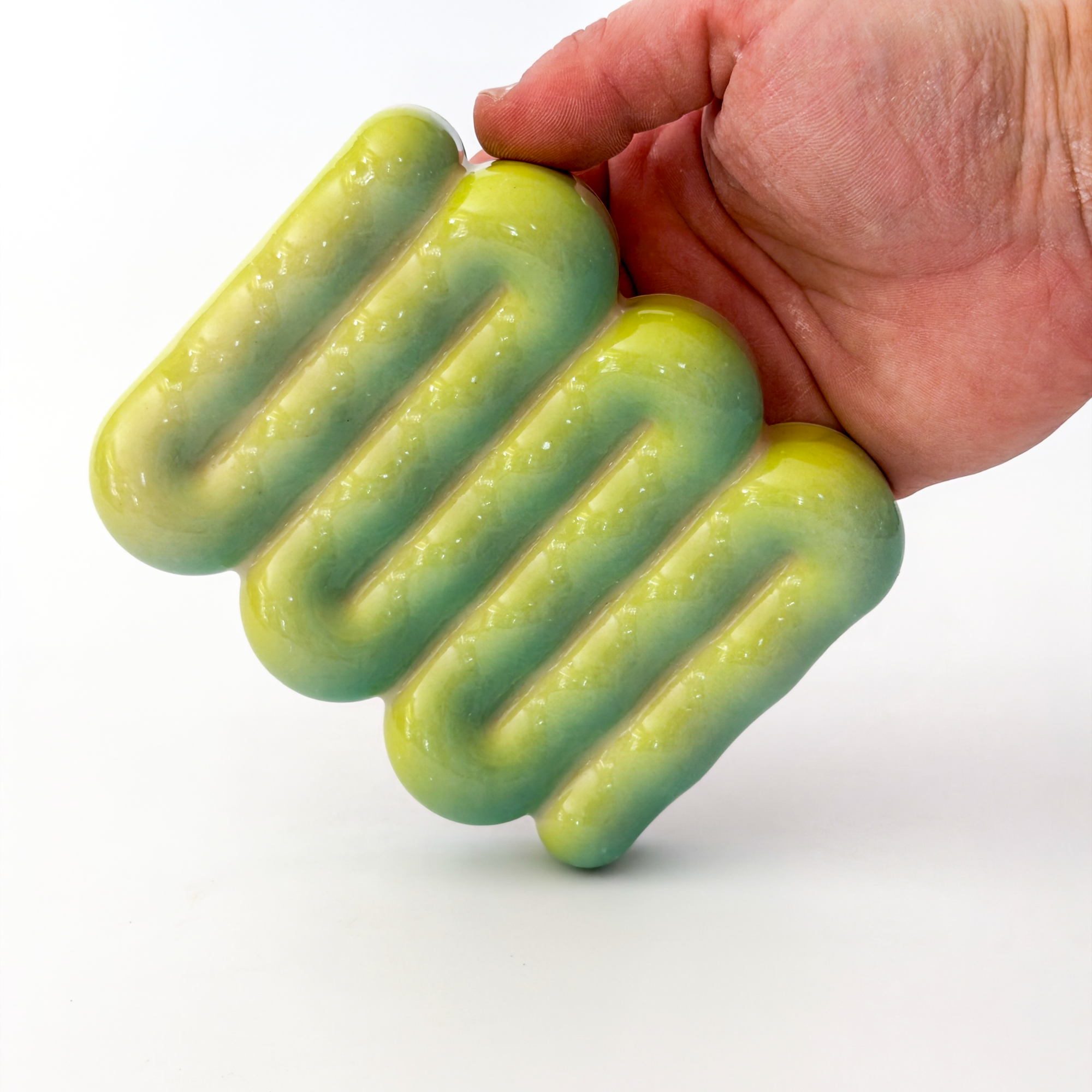 *SECOND* Soap Dish in Lizard