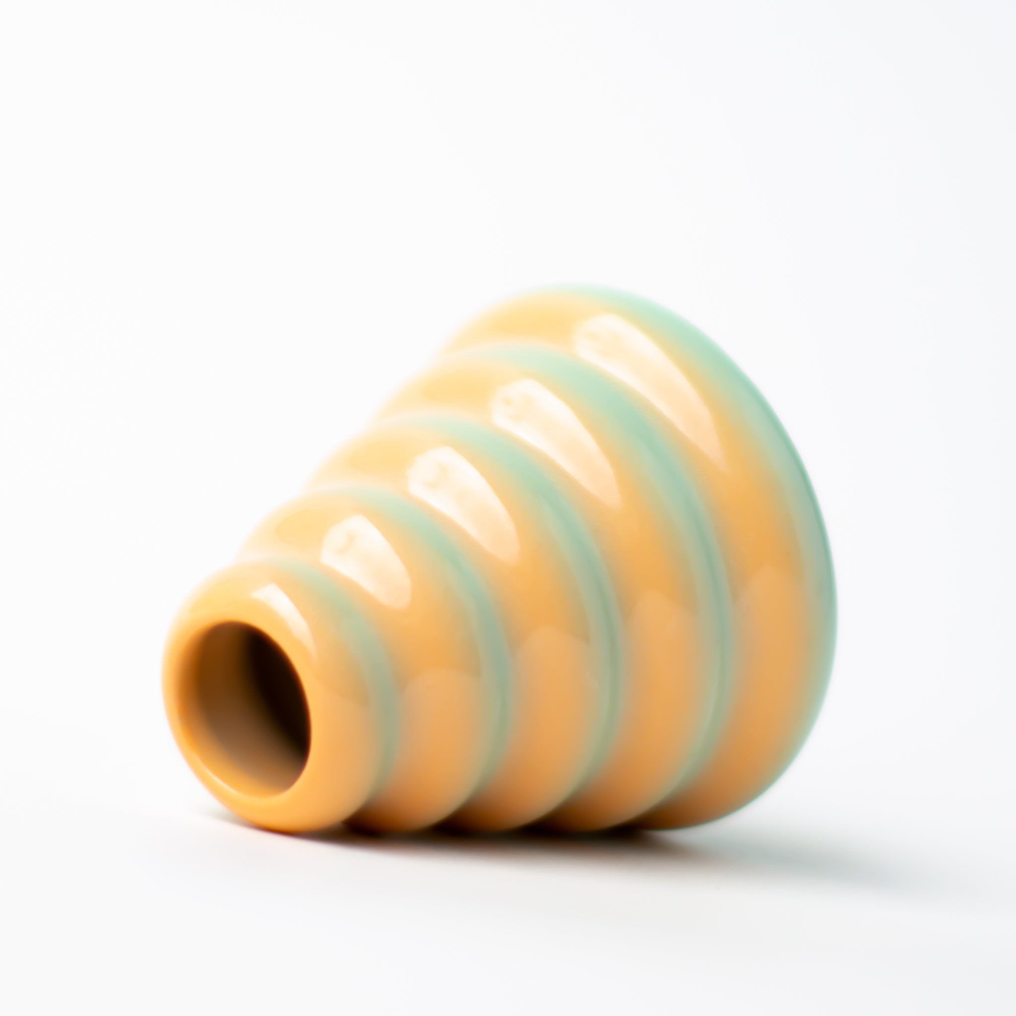 Buddy Vase in Sea Shell
