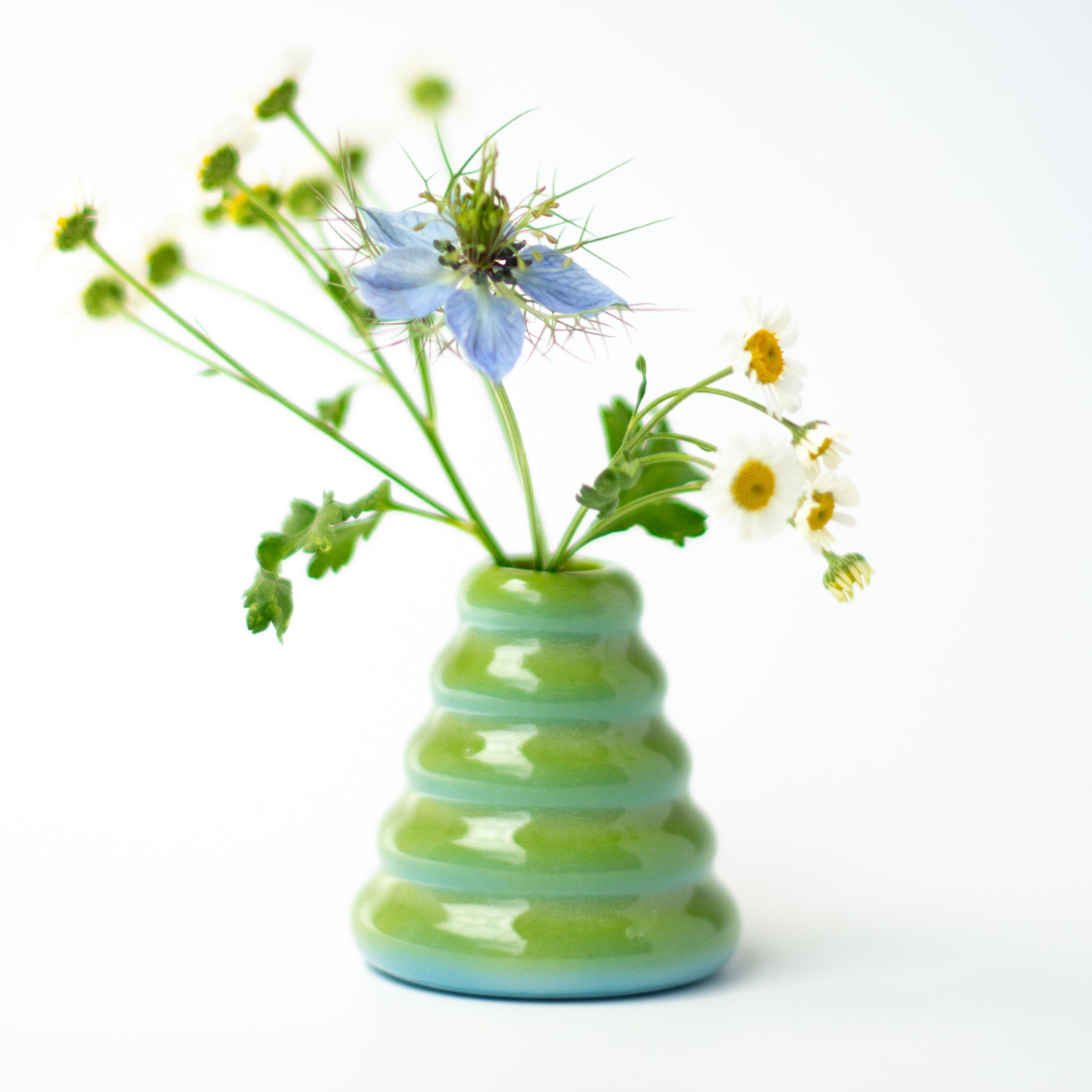 Buddy Vase in Lagoon