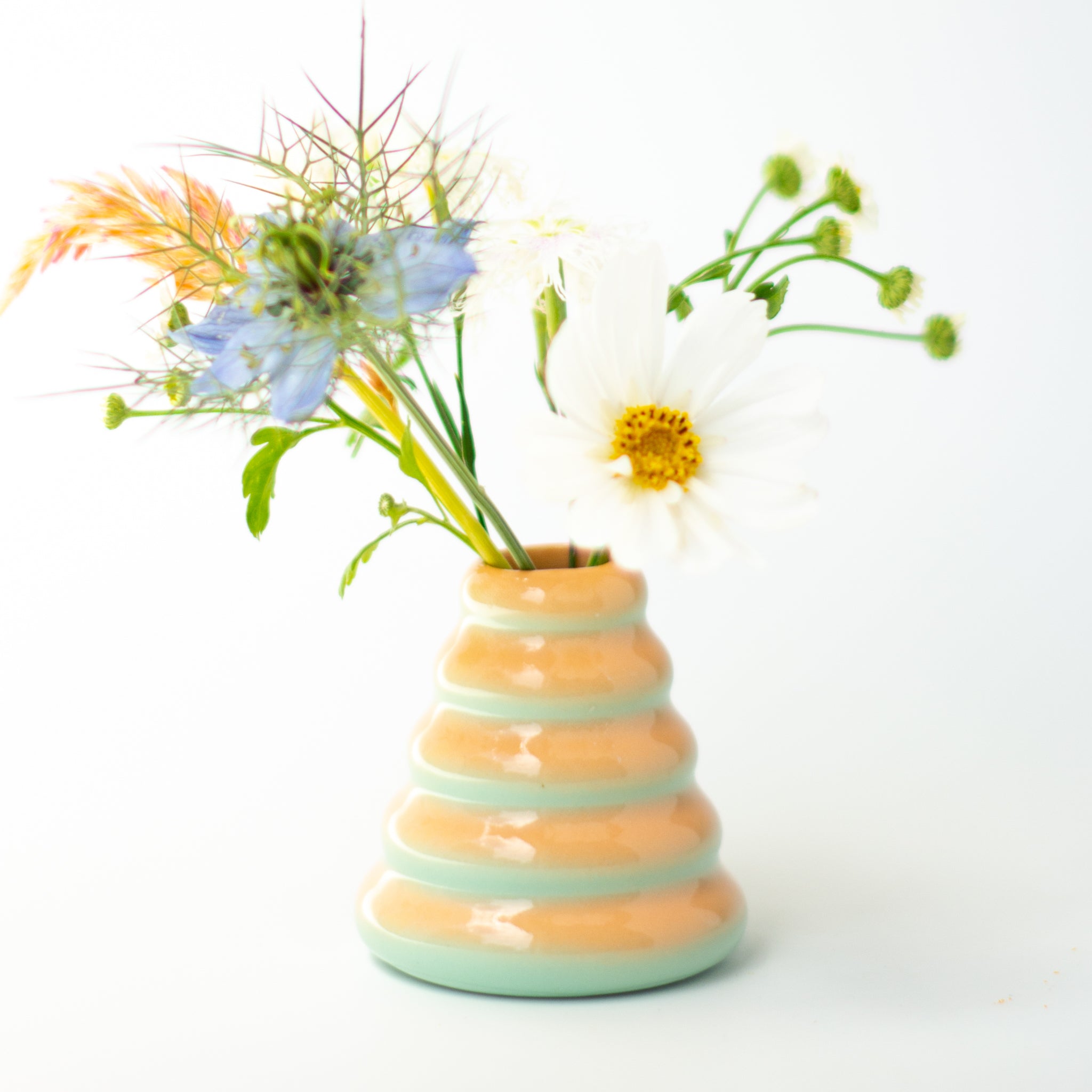Buddy Vase in Sea Shell