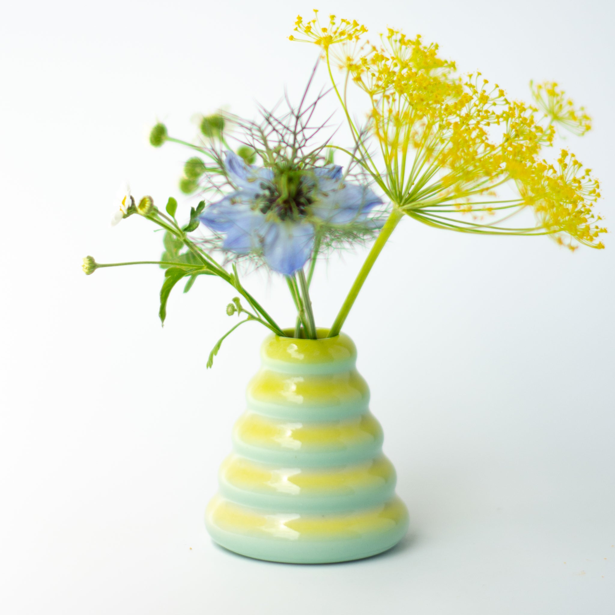 Buddy Vase in Baja Blast