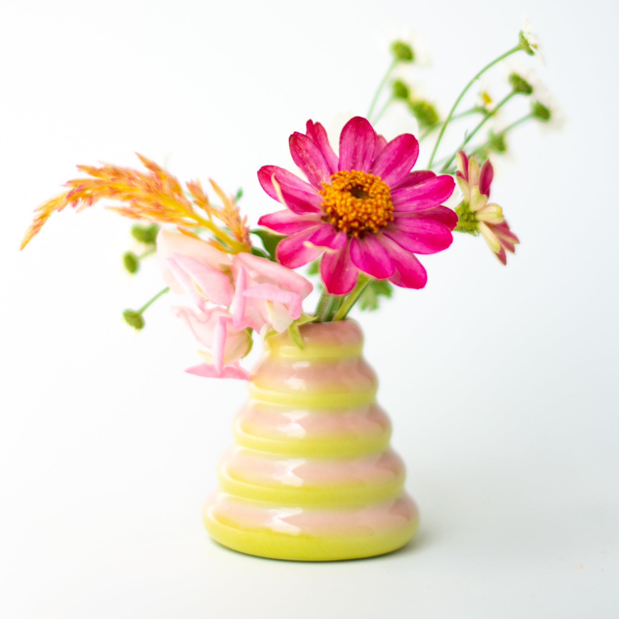Buddy Vase in Guava