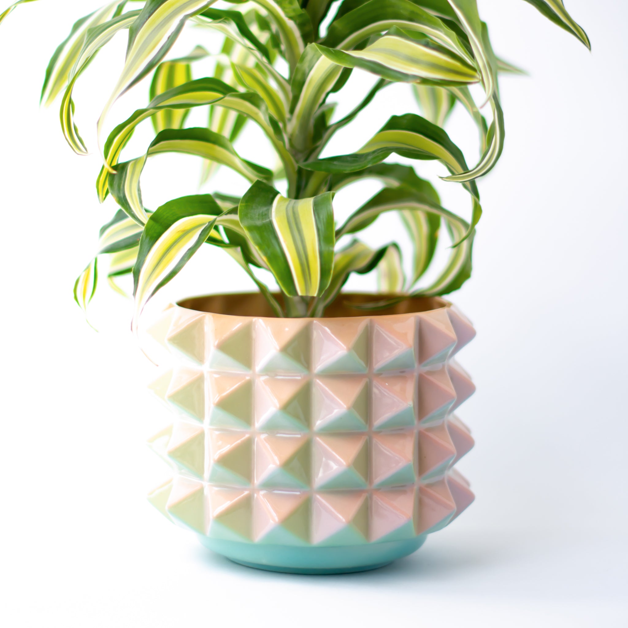 Prism Planter in TBD blush vibes