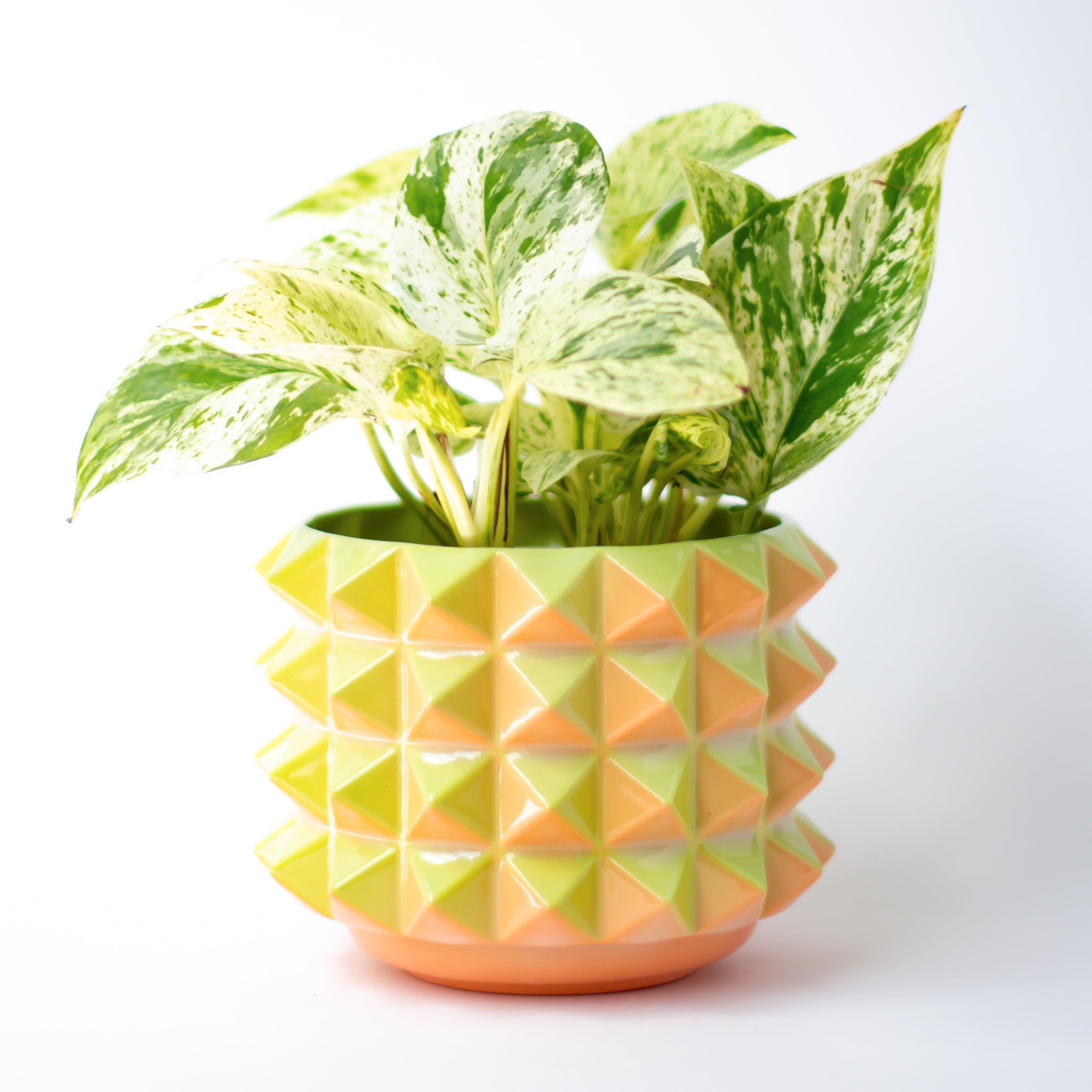 Prism Planter in Melon