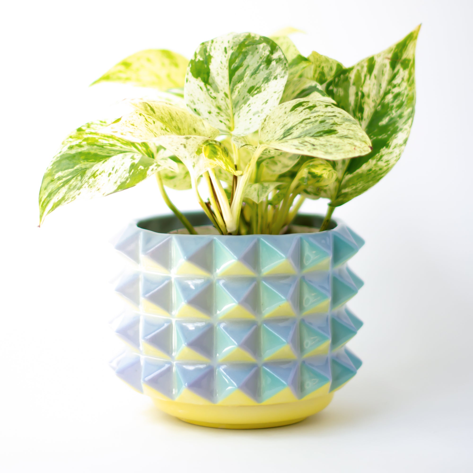 Prism Planter in Daybreak