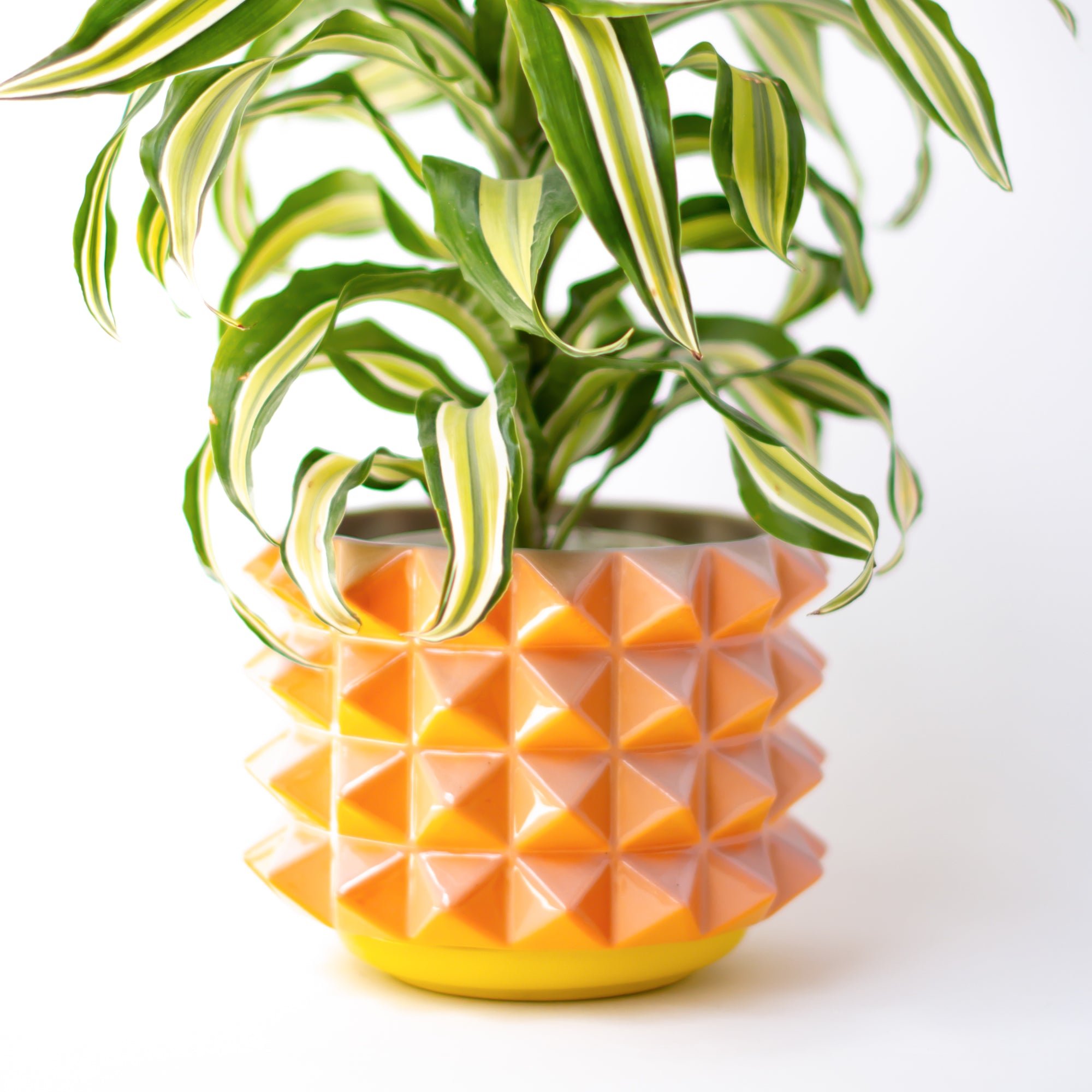 Prism Planter in Sunset