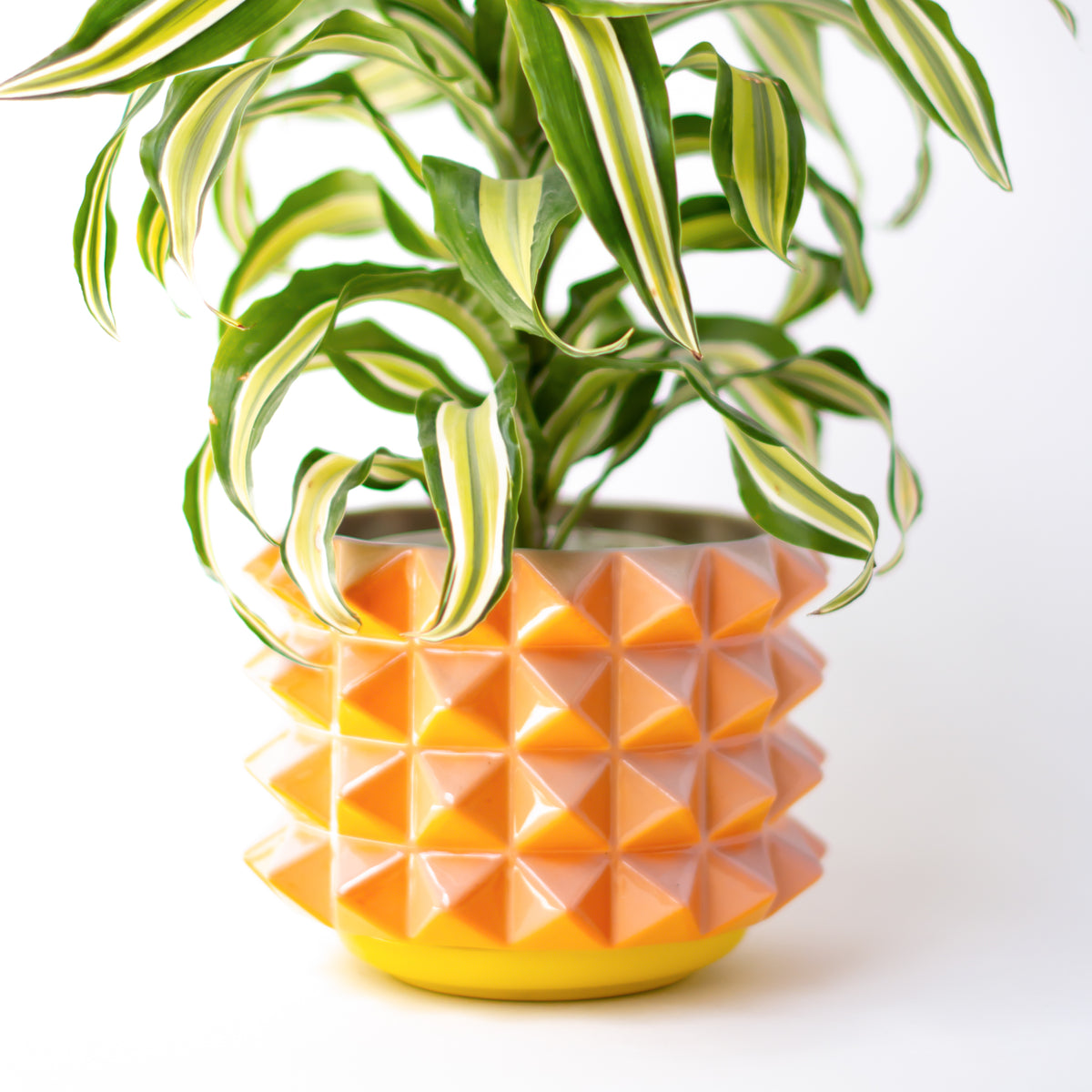 Prism Planter in Sunset