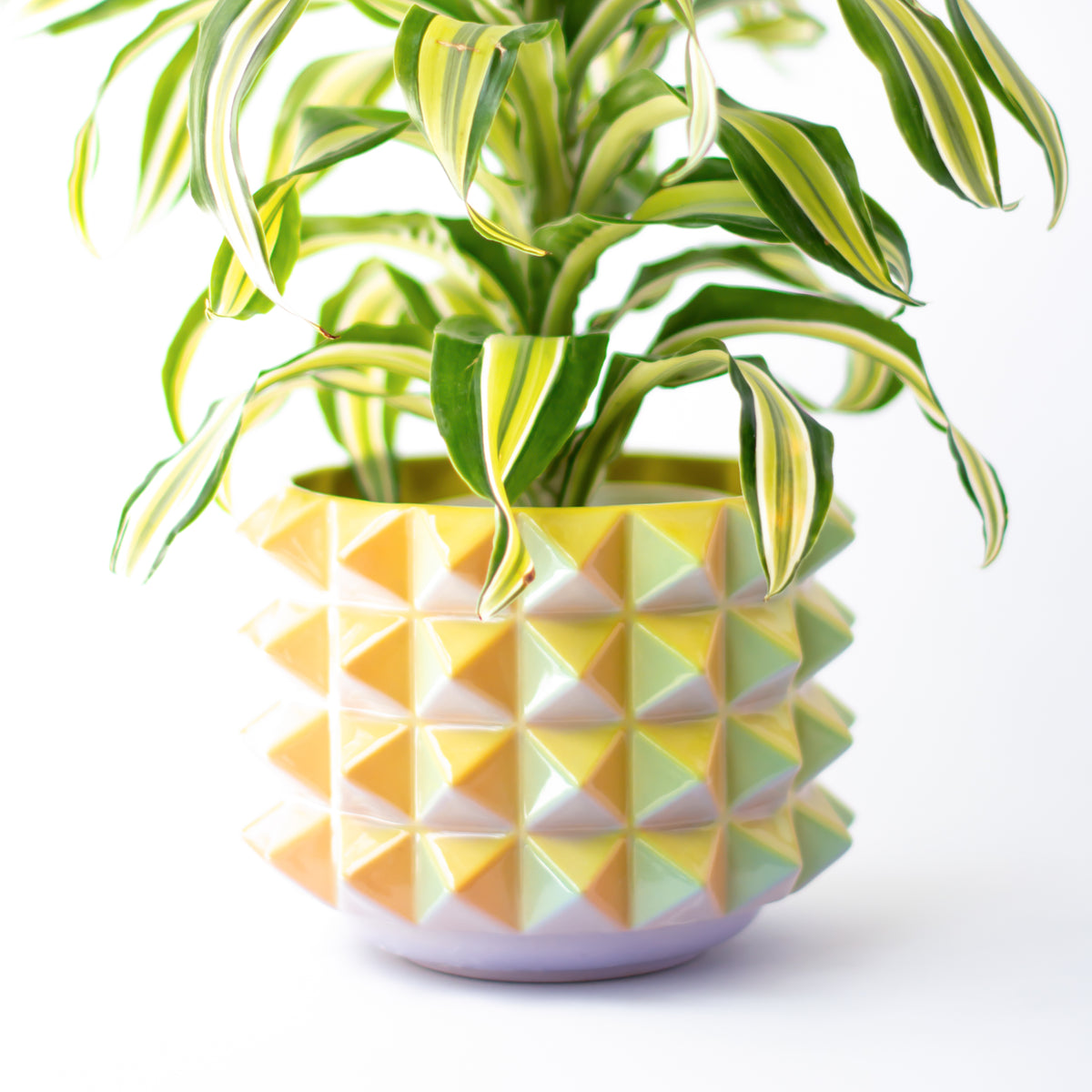 Prism Planter in Iridescent