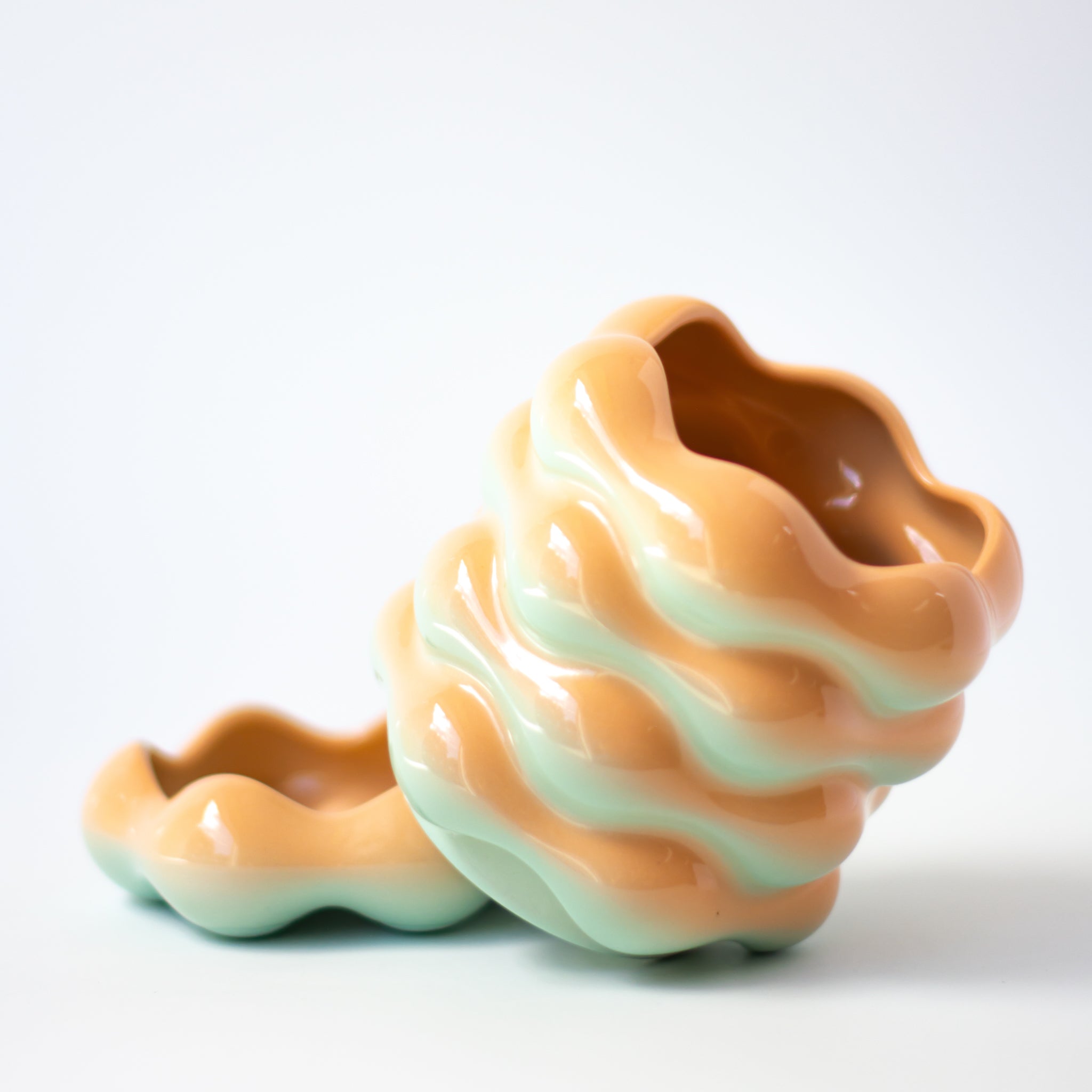High Tide Planter in Sea Shell