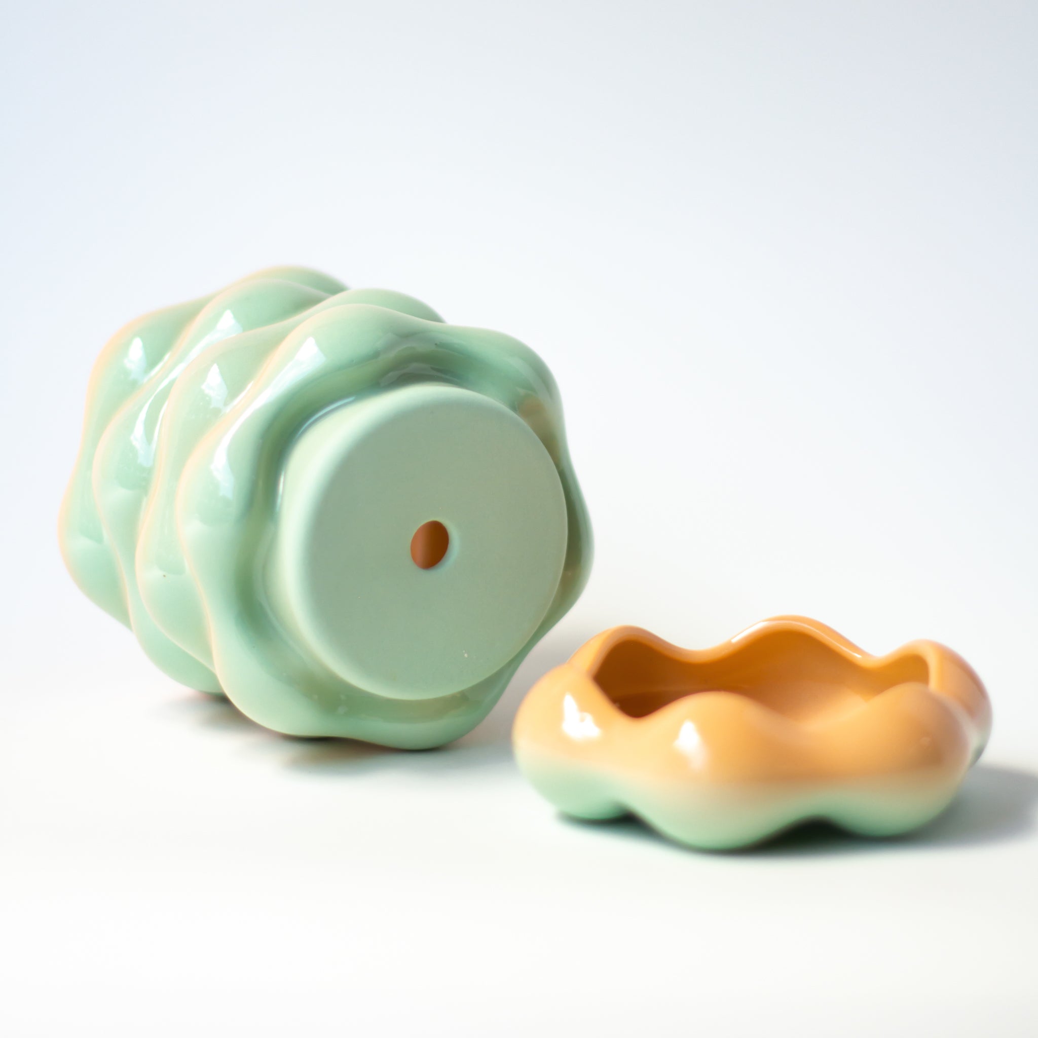 High Tide Planter in Sea Shell