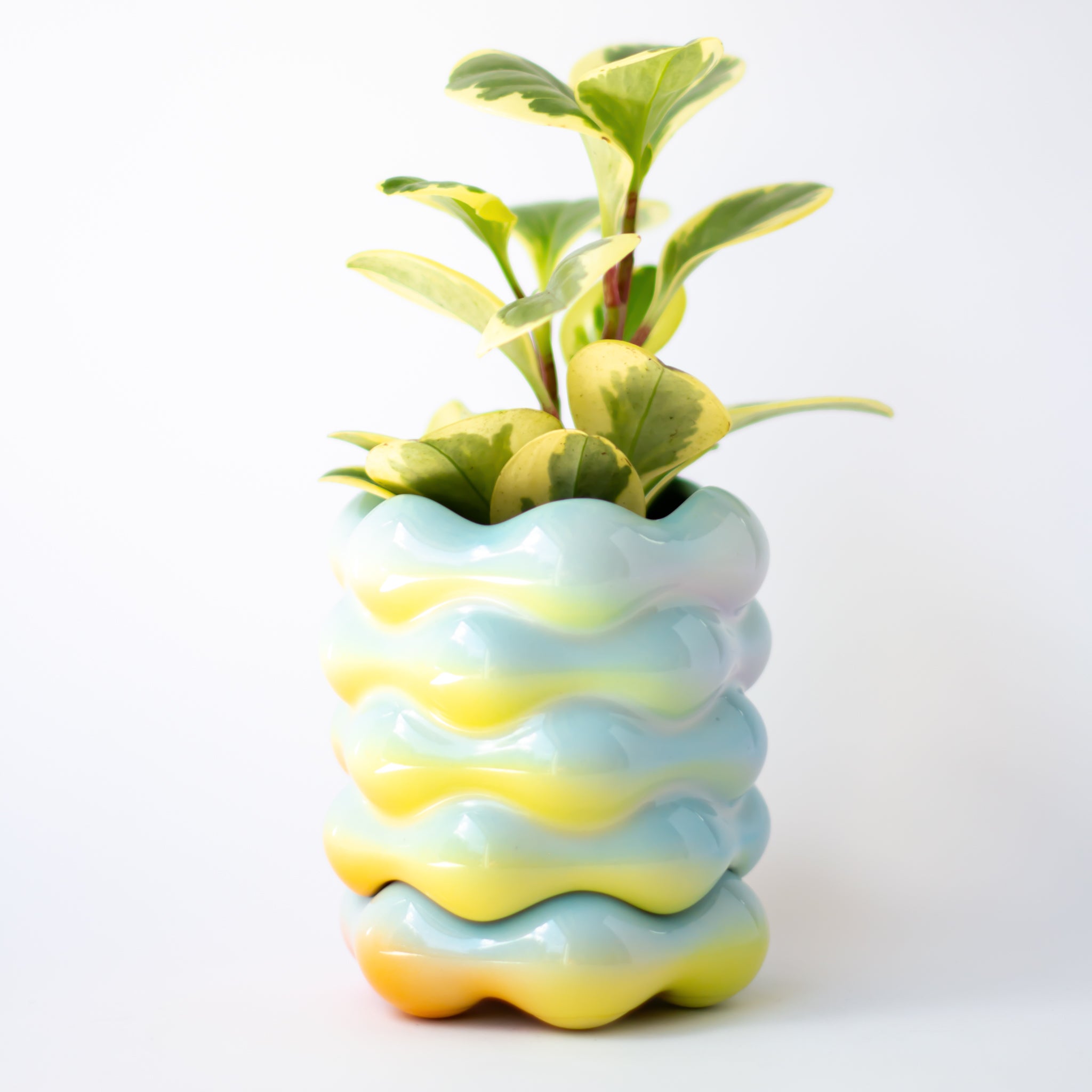 High Tide Planter in Iridescent Cloud