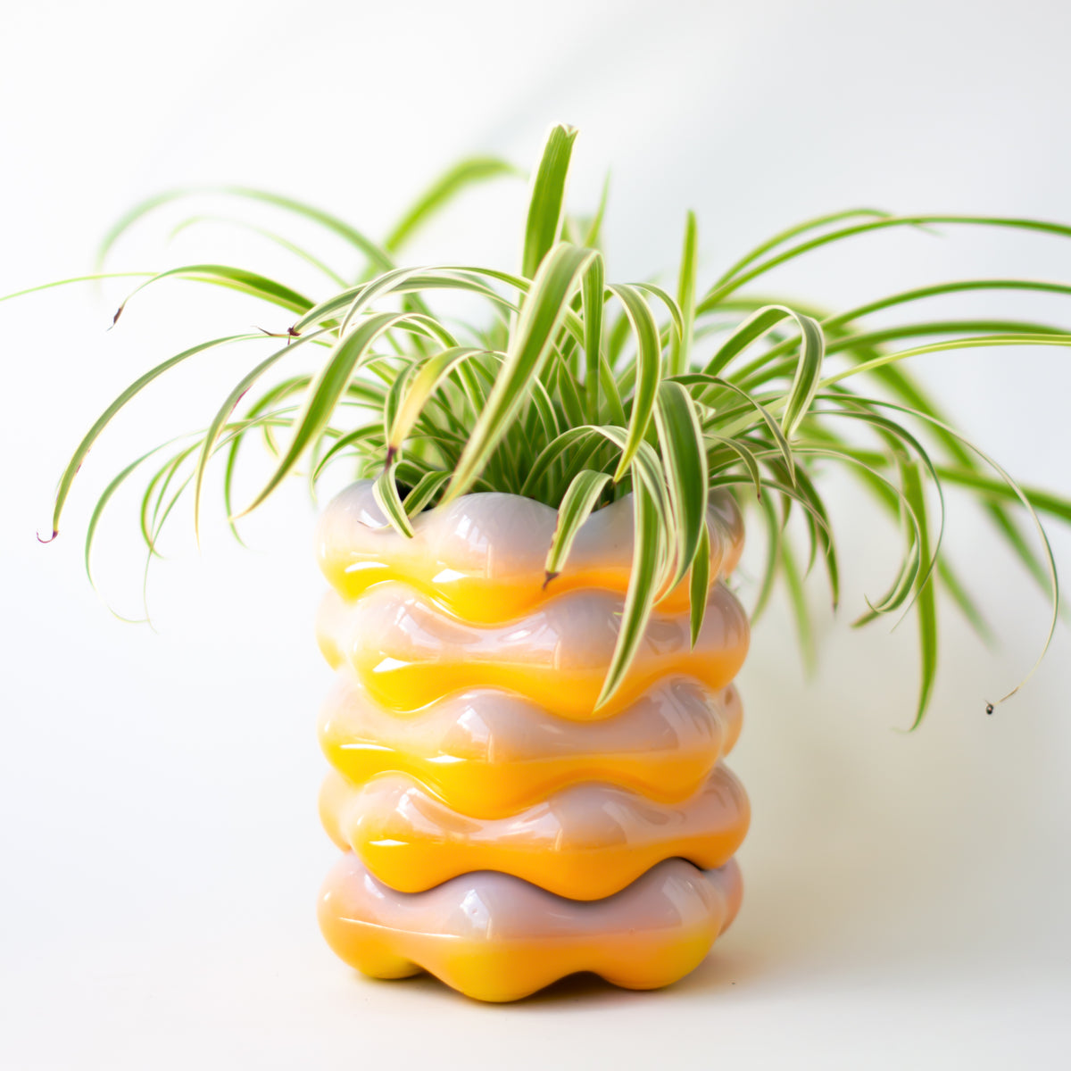 High Tide Planter in Sunset