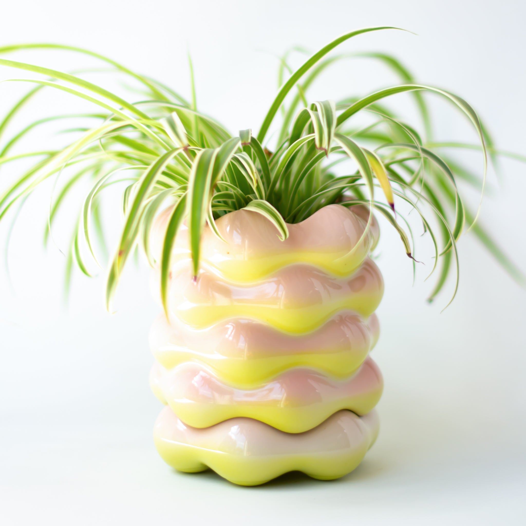 High Tide Planter in Guava