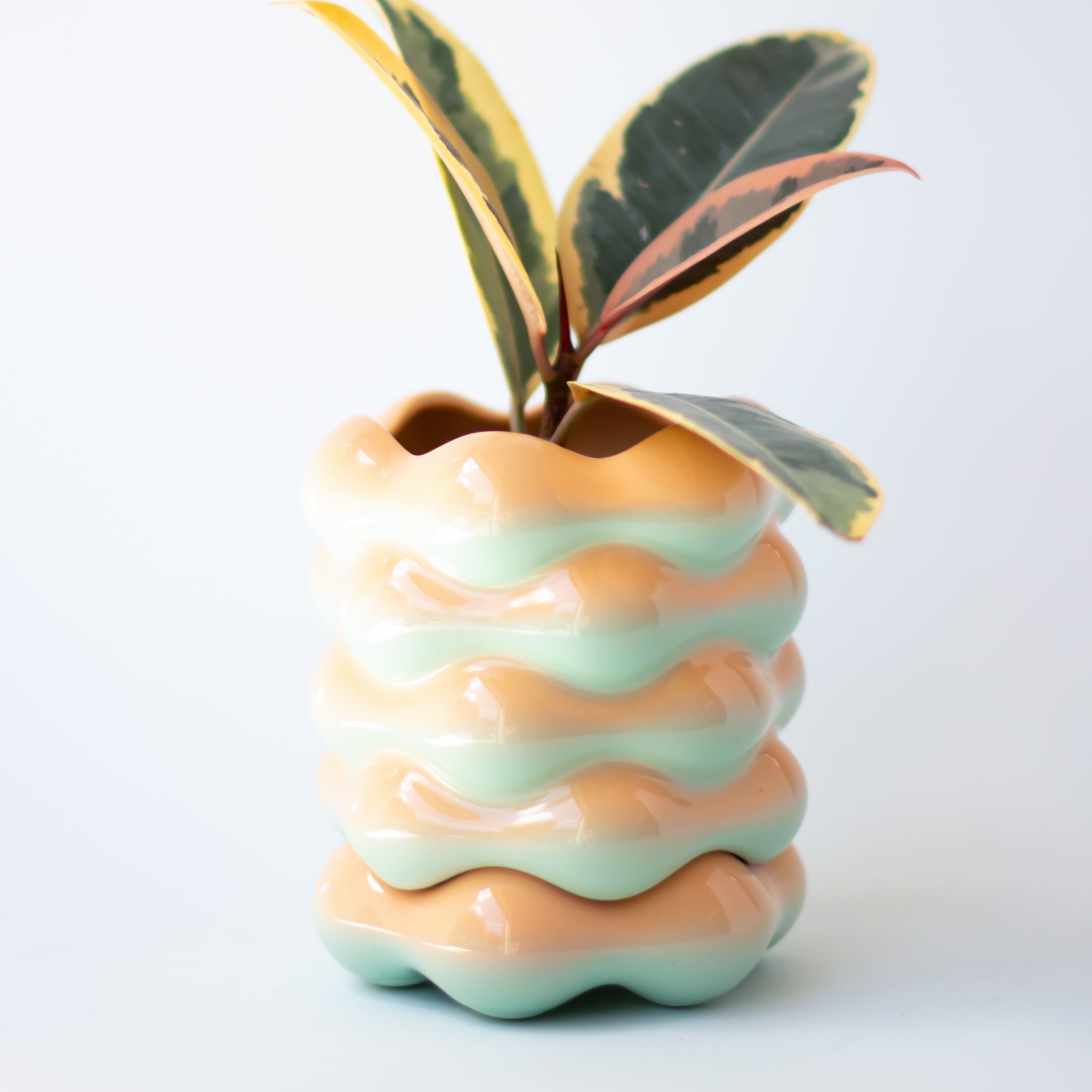 High Tide Planter in Sea Shell