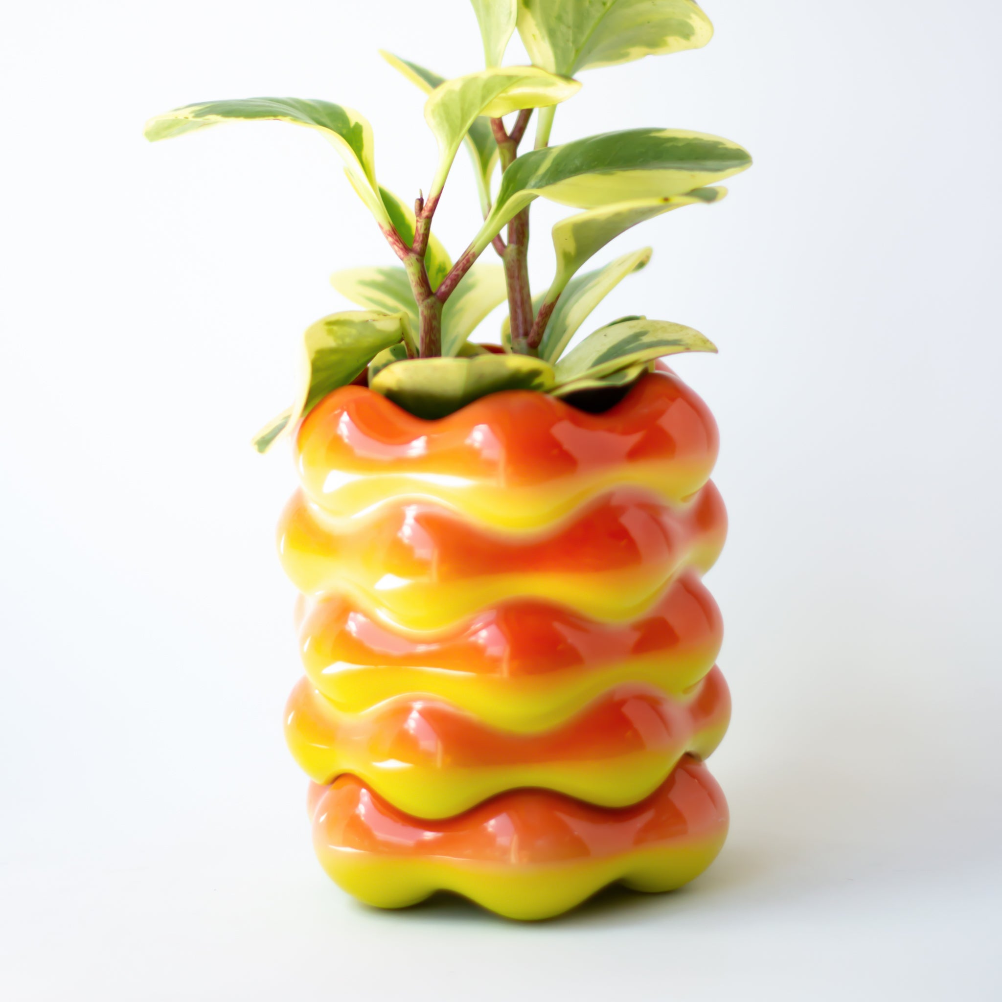 High Tide Planter in Cherry Tomato