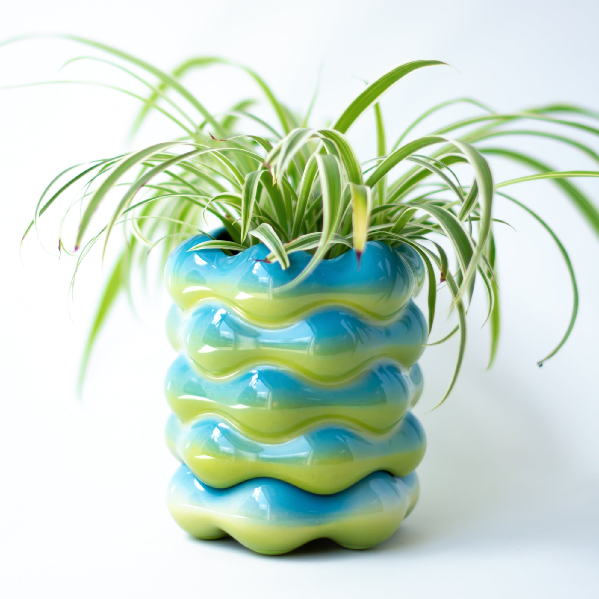 High Tide Planter in Lagoon