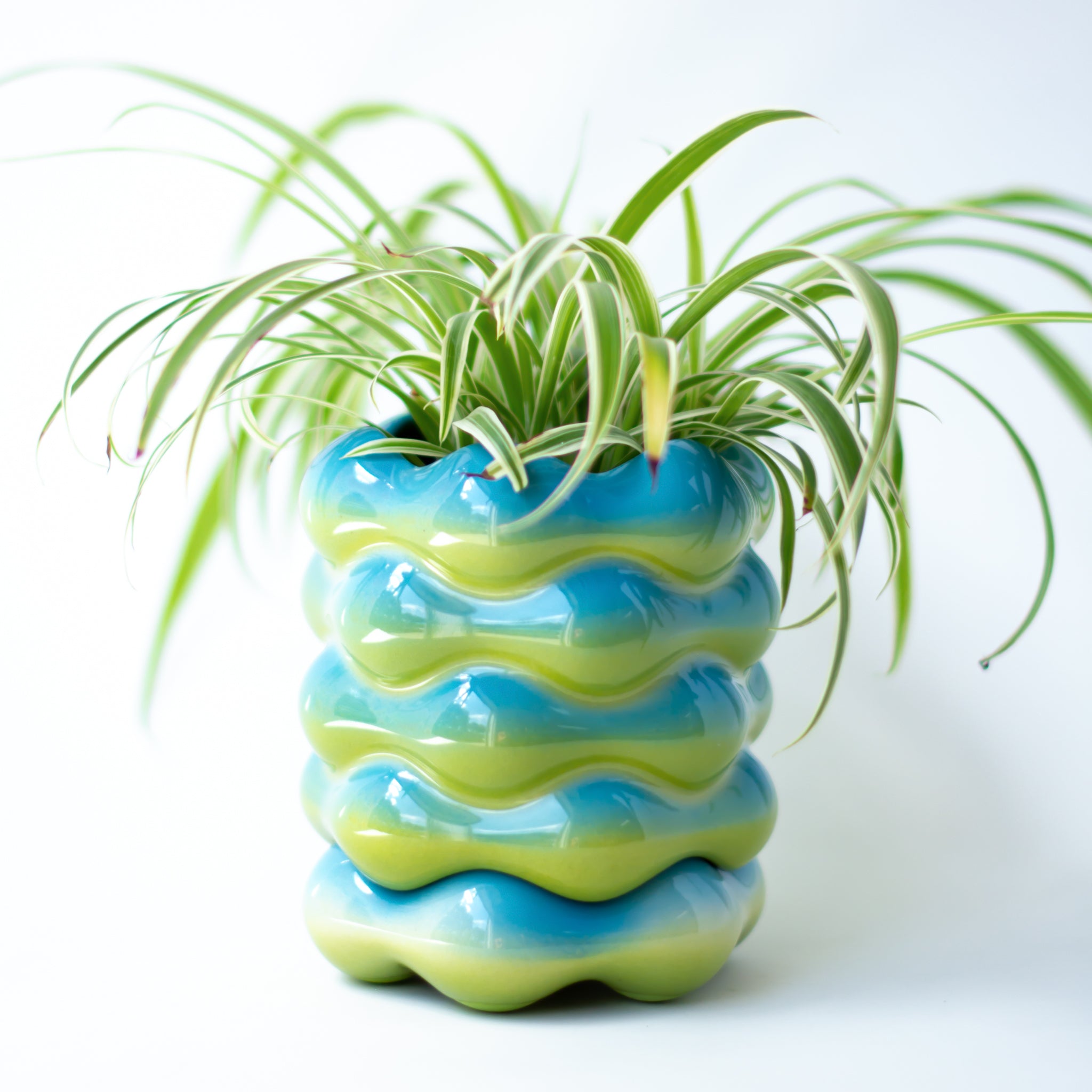 High Tide Planter in Lagoon