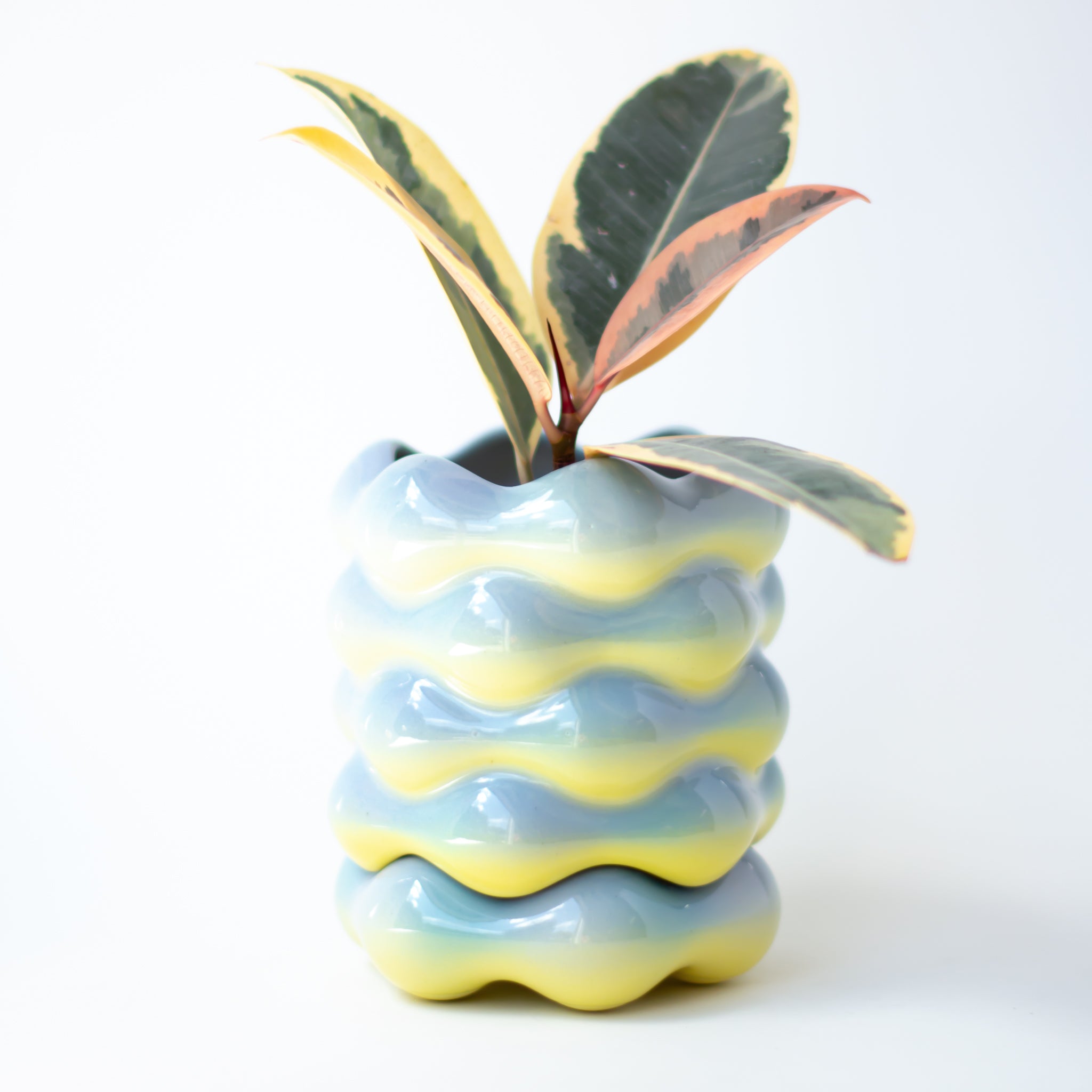 High Tide Planter in Daybreak