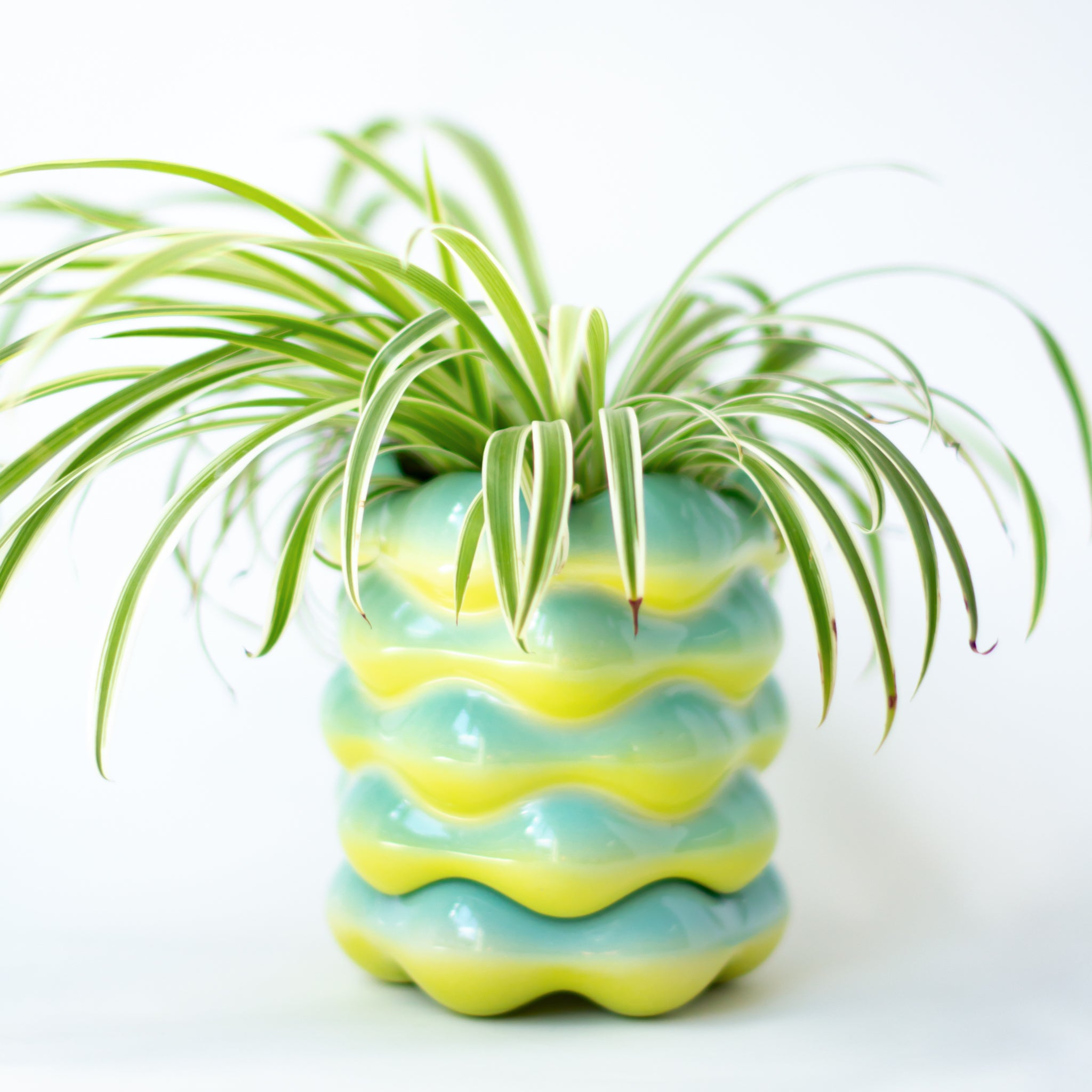 High Tide Planter in Baja Blast