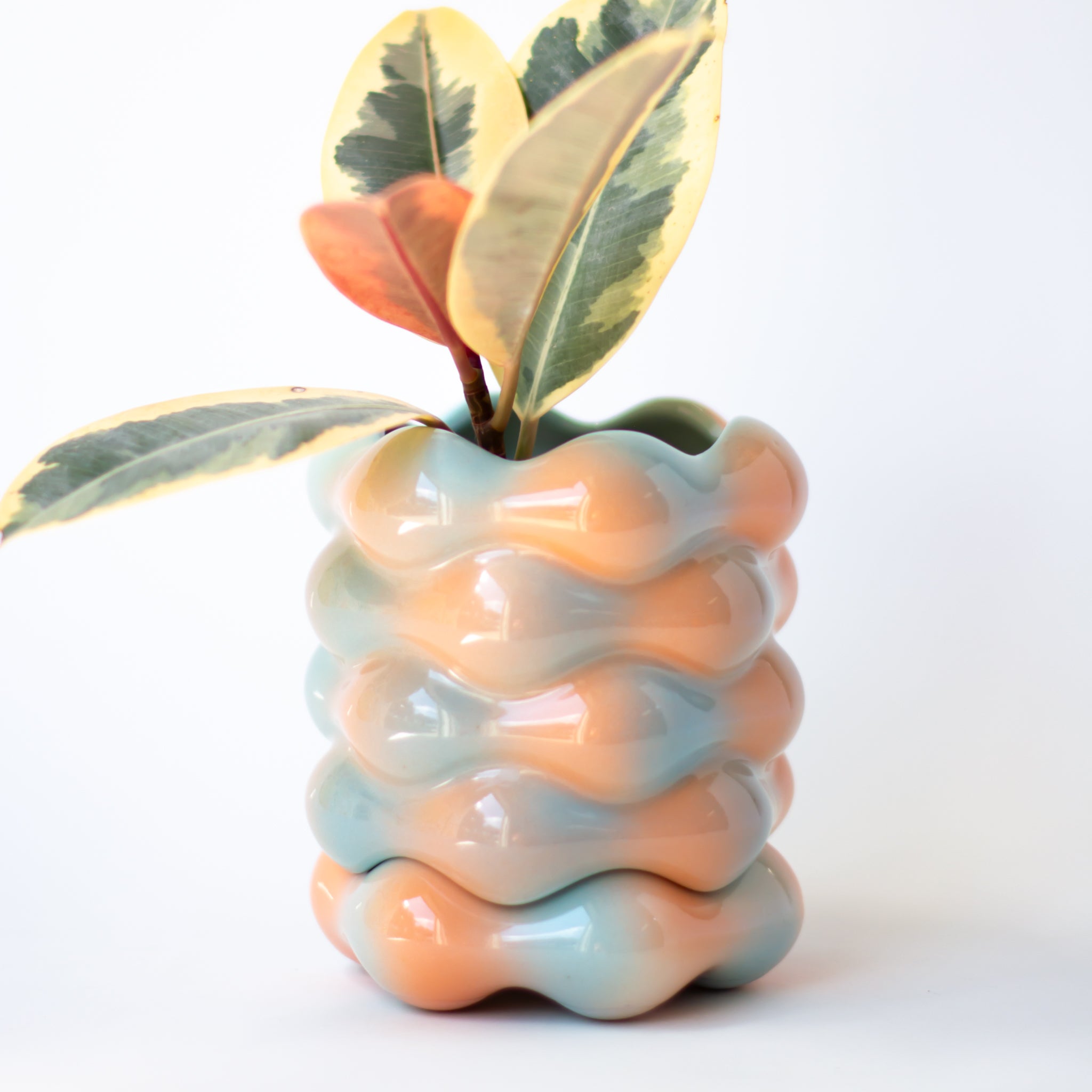 High Tide Planter in Cotton Candy