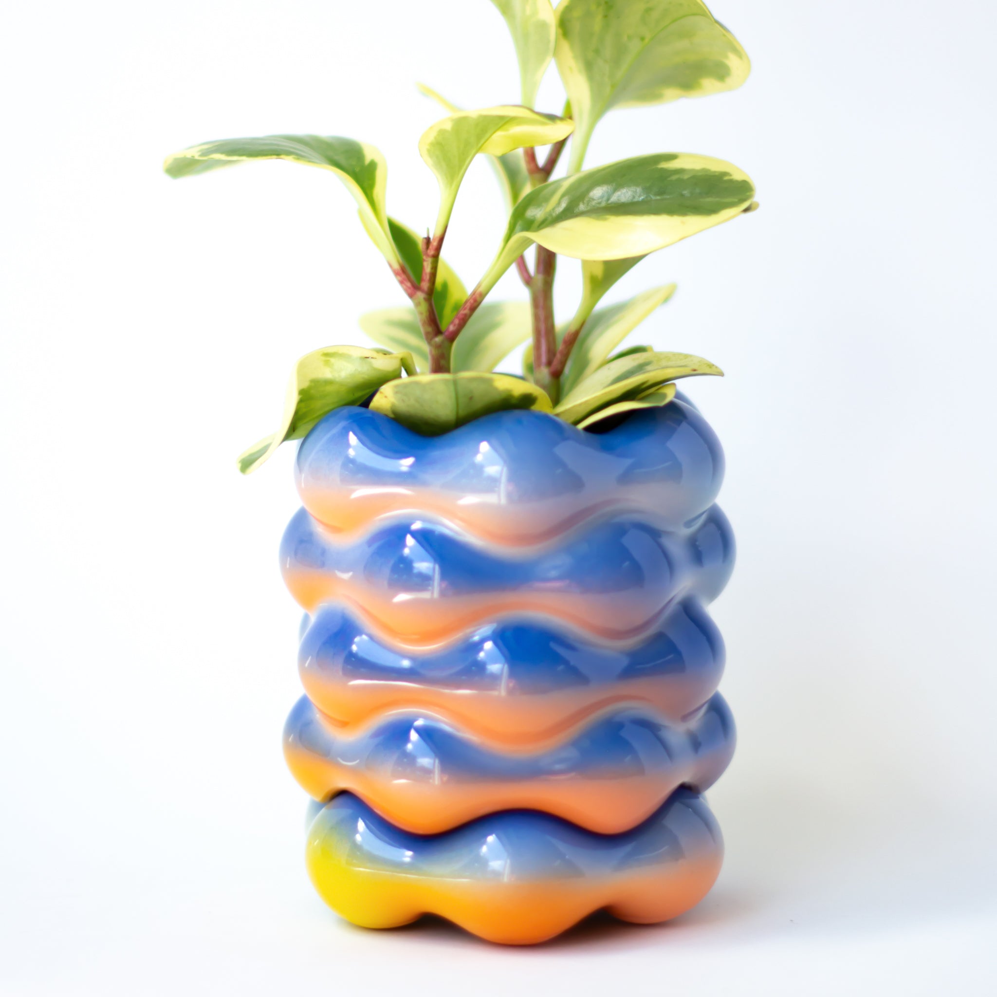 High Tide Planter in Cobalt Rainbow