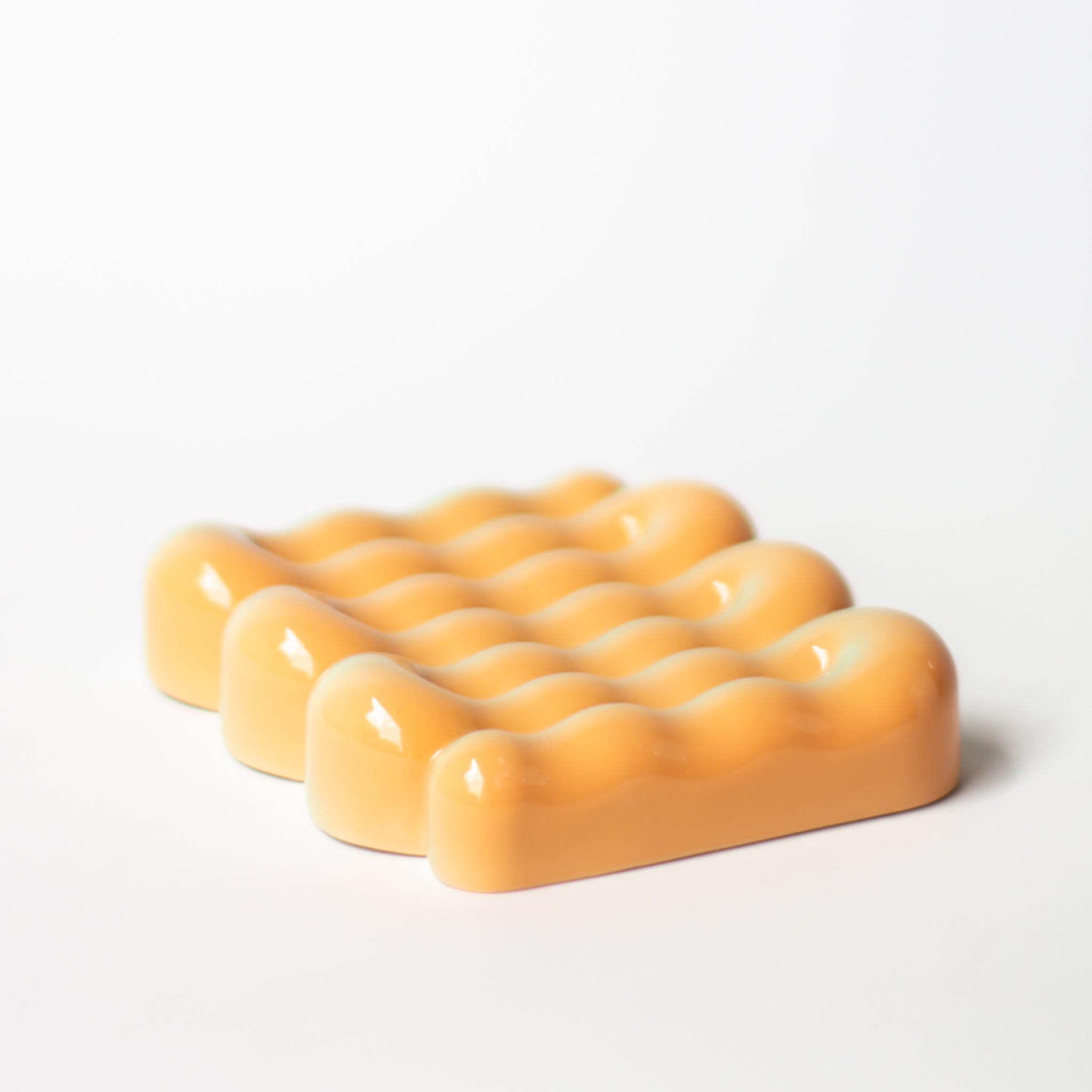 Soap Dish in Sea Shell