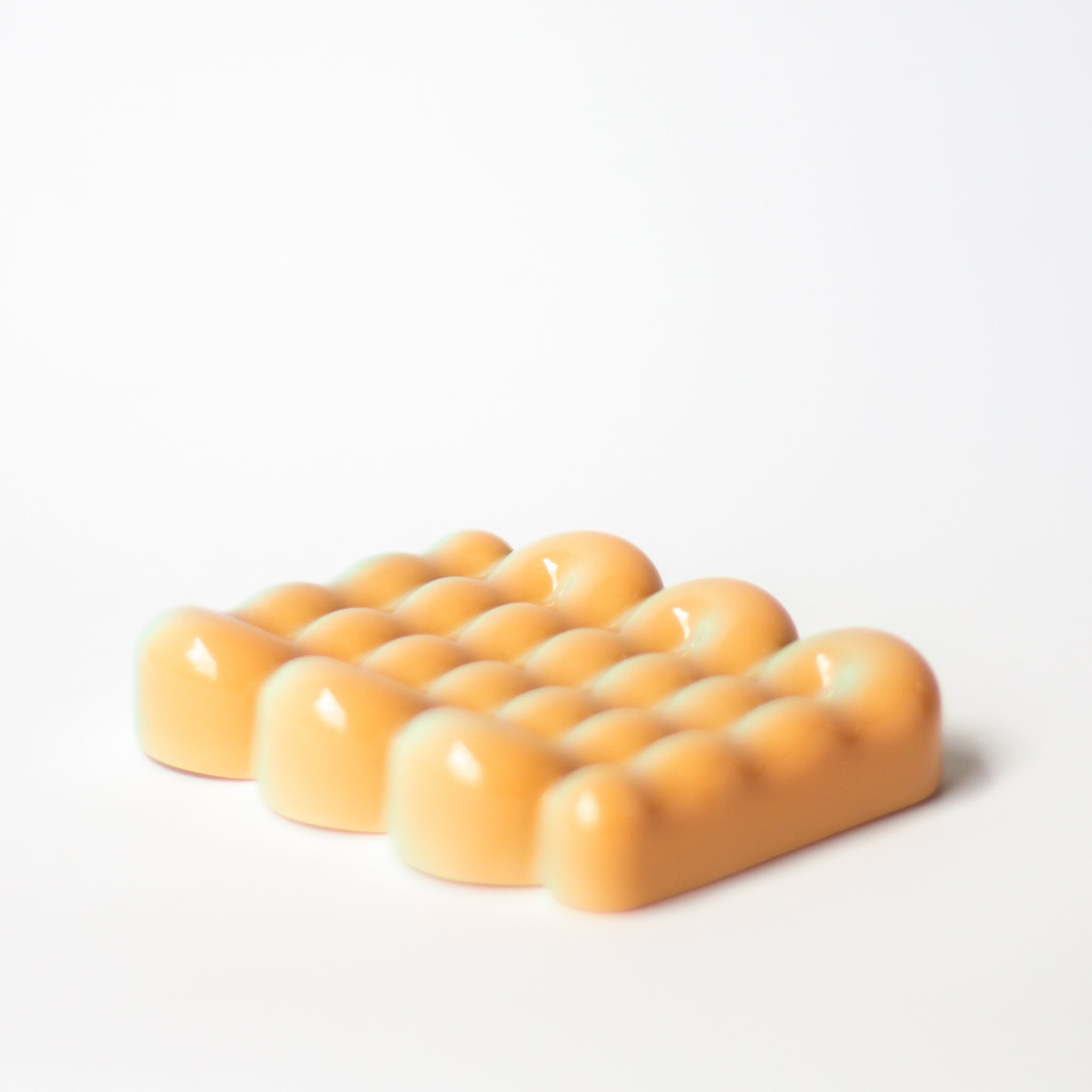 Soap Dish in Sea Shell