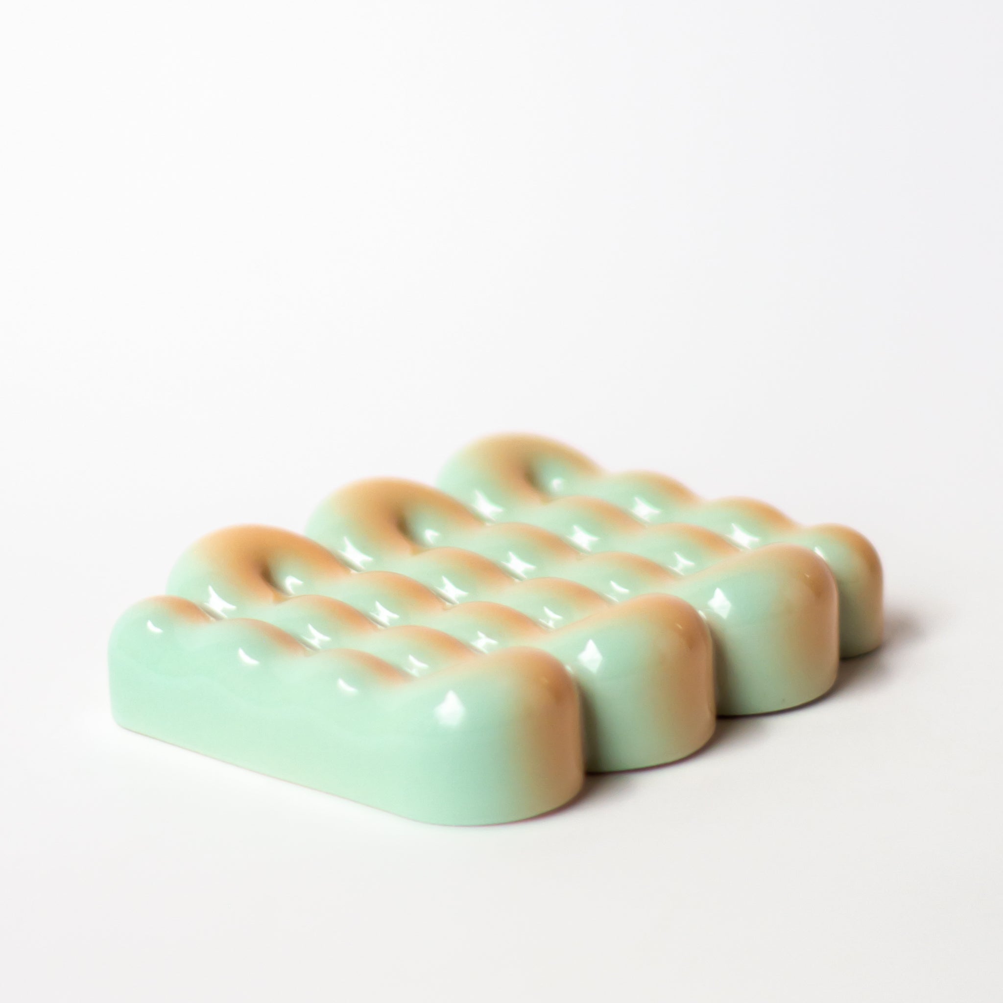 Soap Dish in Sea Shell